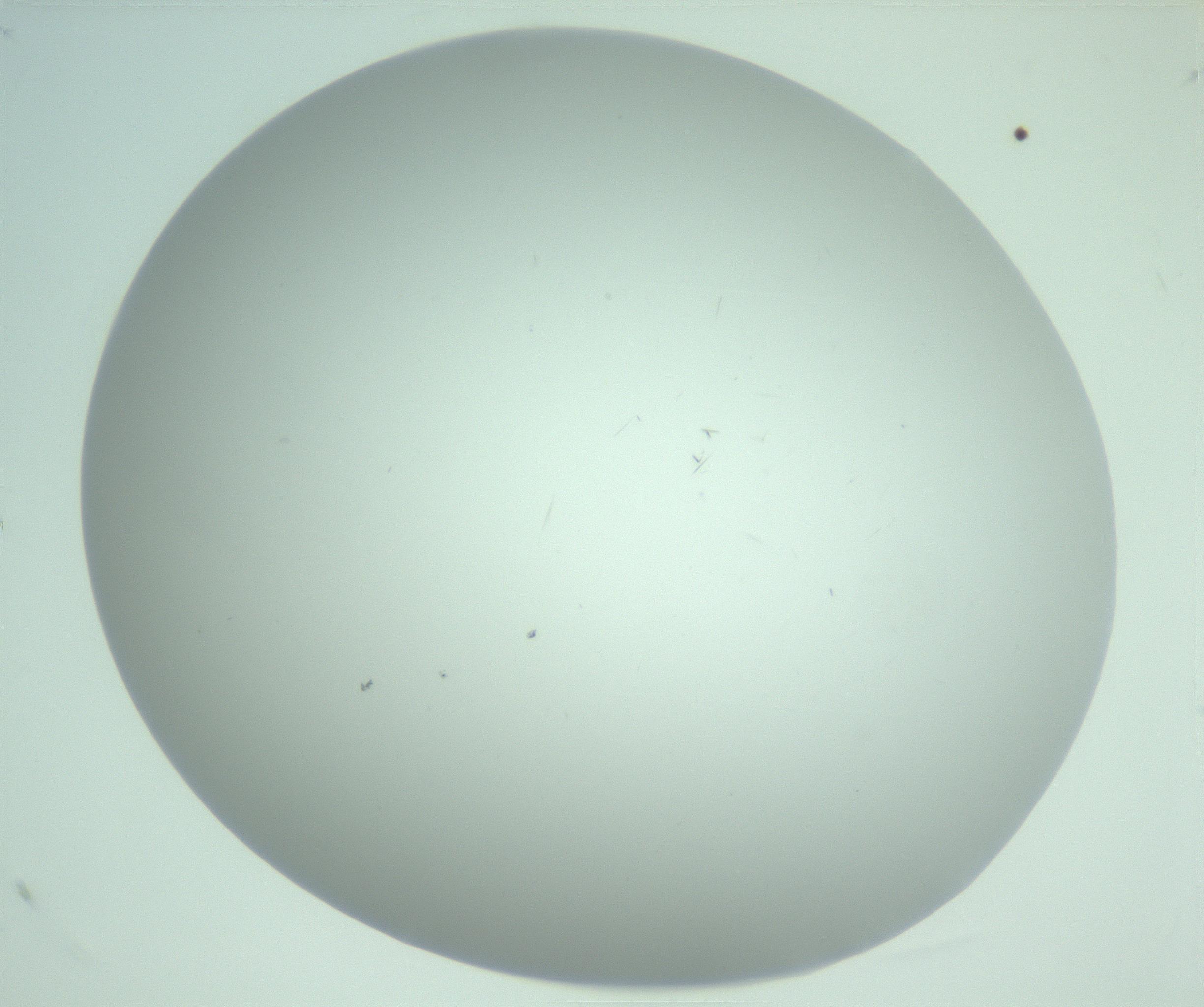RI01_03_000_0212_Proj1_Clon1_MC_0000MC103220_003_170127_09_06_02_00_99_002_001_RAI.jpg