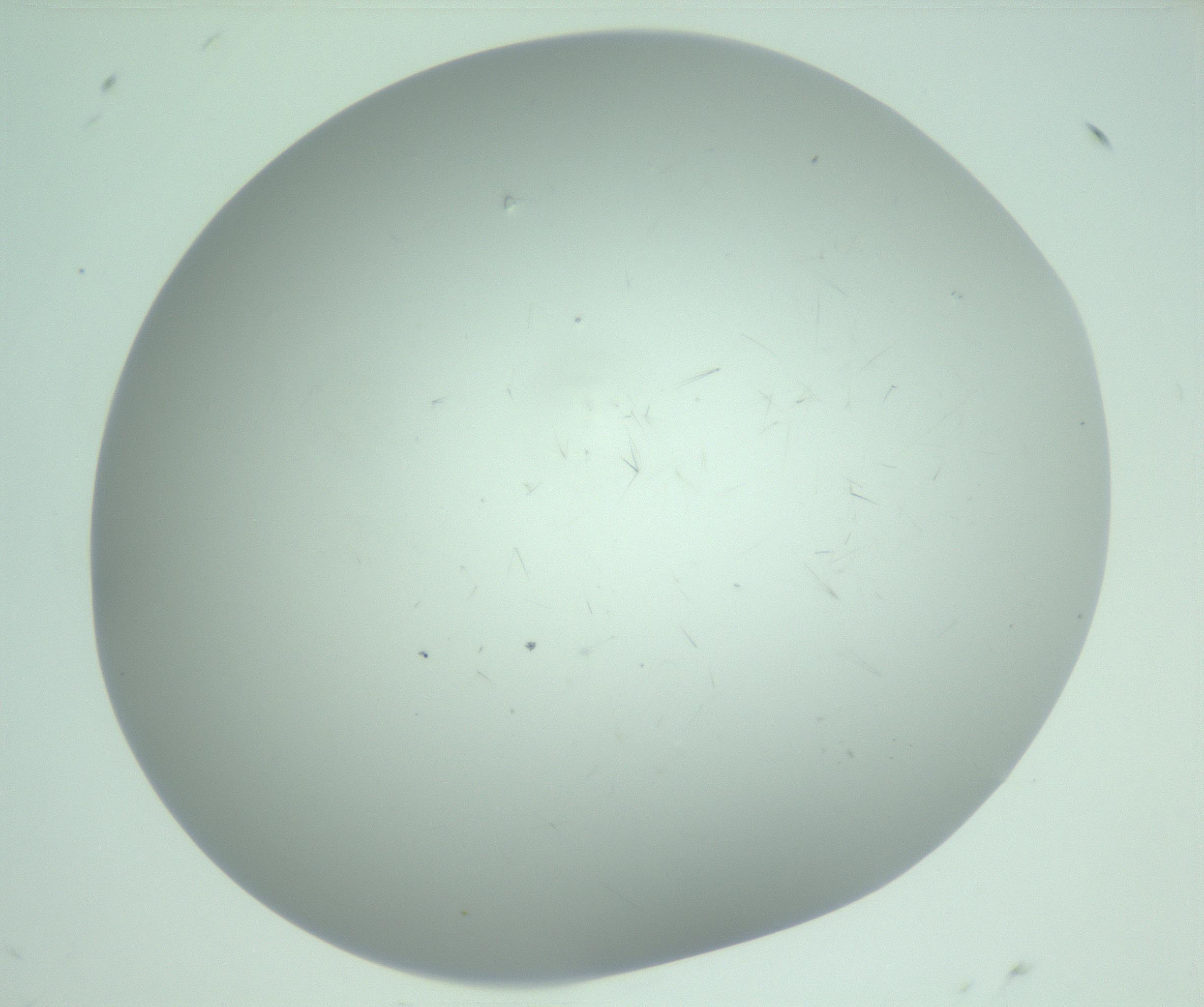 RI01_03_000_0212_Proj1_Clon1_MC_0000MC103220_003_170127_09_08_02_00_99_002_001_RAI.jpg