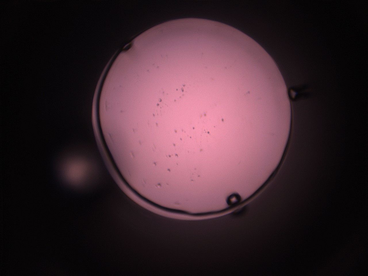 05i5_K9_ImagerDefaults_9.jpg