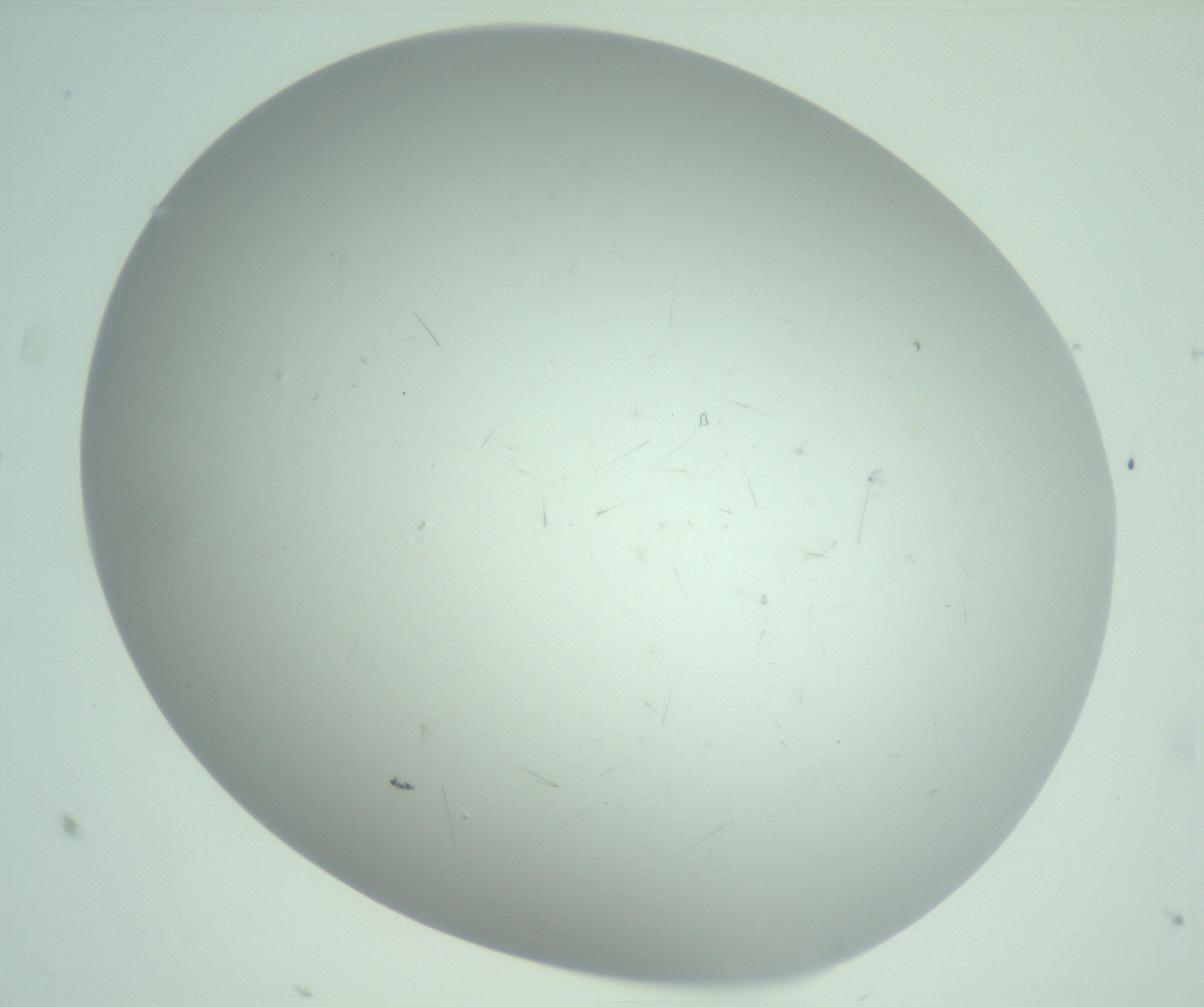 RI01_03_000_0212_Proj1_Clon1_MC_0000MC103220_003_170127_10_03_02_00_99_002_001_RAI.jpg