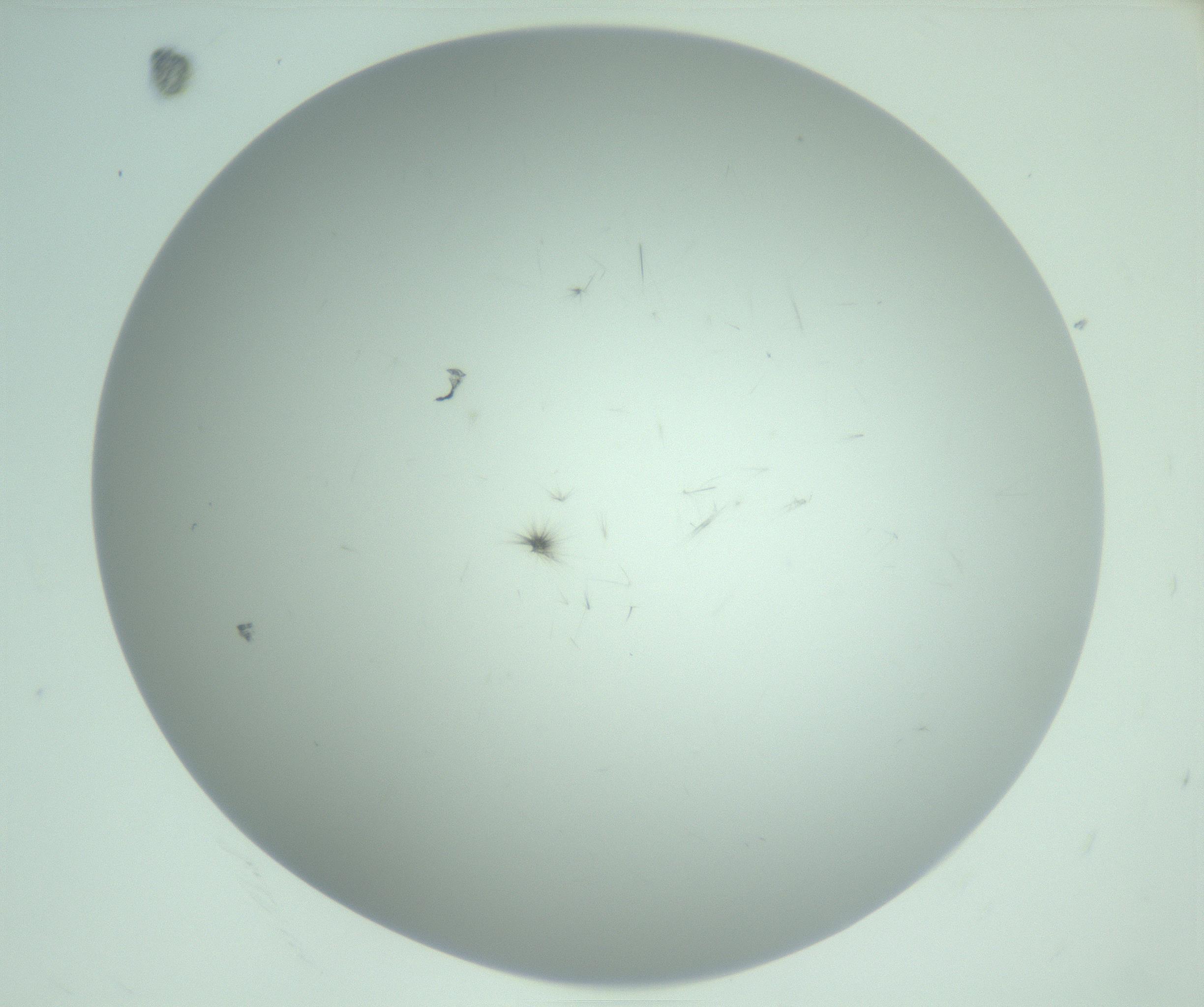 RI01_03_000_0212_Proj1_Clon1_MC_0000MC103220_003_170127_10_05_02_00_99_002_001_RAI.jpg