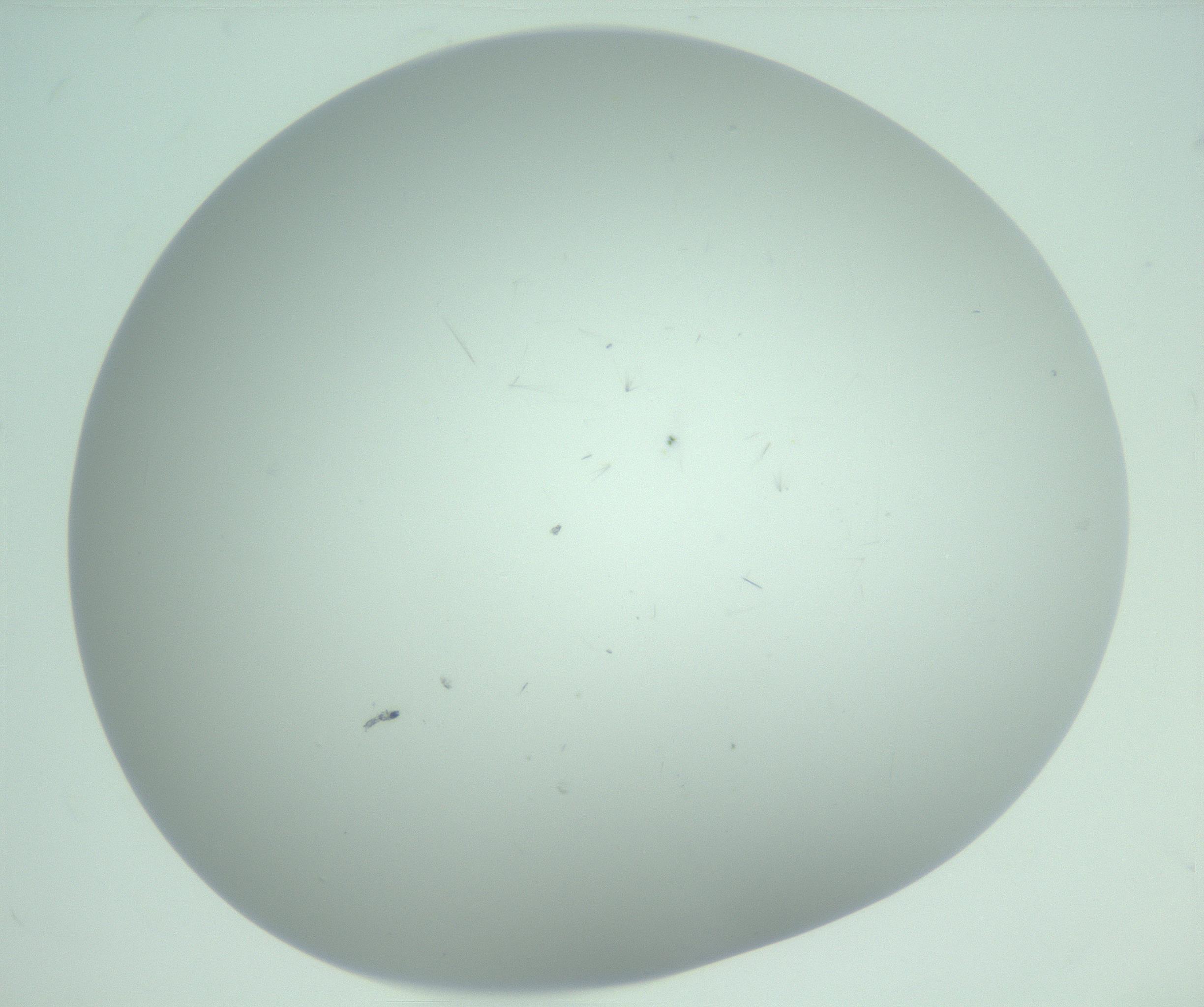 RI01_03_000_0212_Proj1_Clon1_MC_0000MC103220_003_170127_10_08_02_00_99_002_001_RAI.jpg