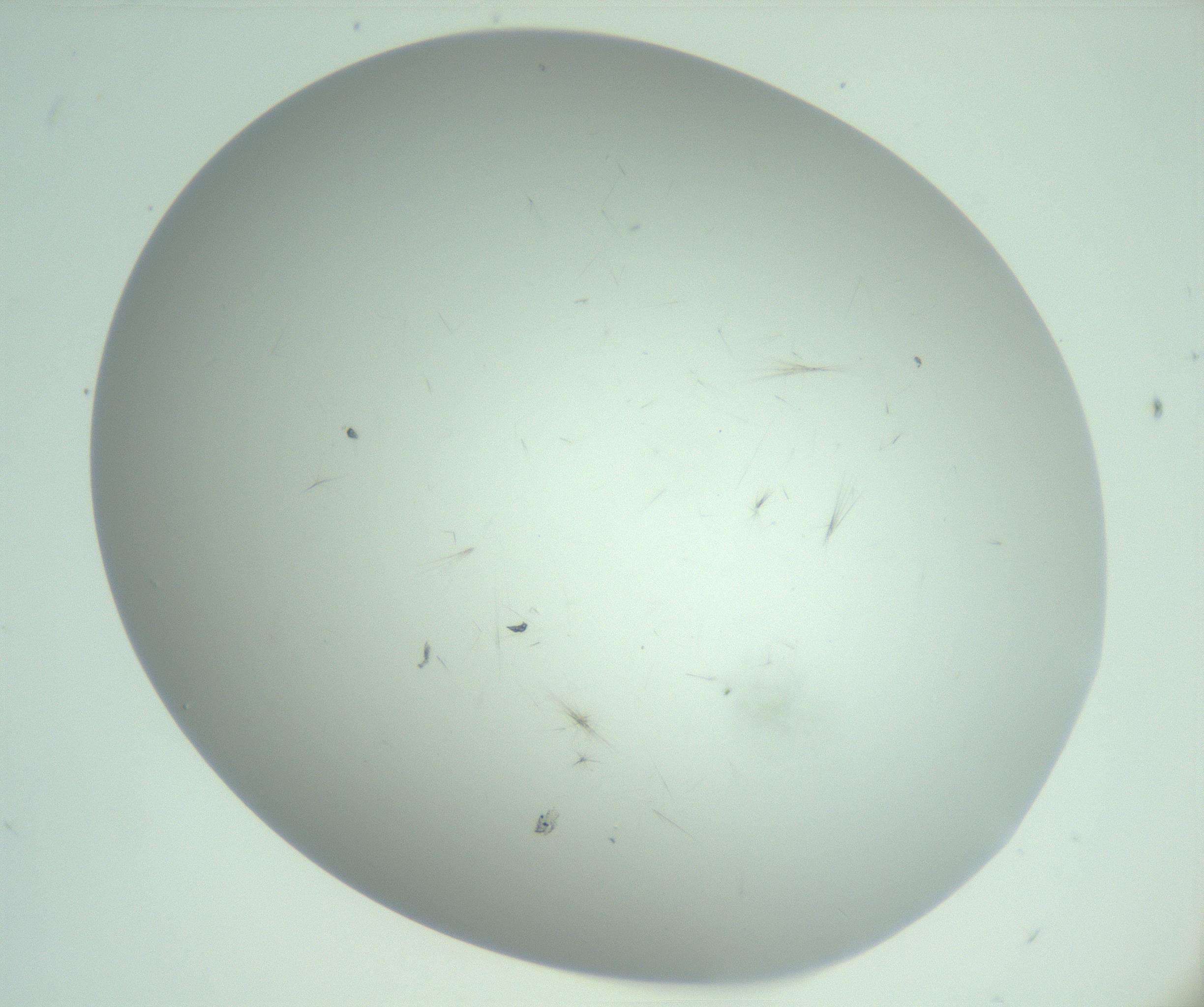 RI01_03_000_0212_Proj1_Clon1_MC_0000MC103220_003_170127_11_03_02_00_99_002_001_RAI.jpg