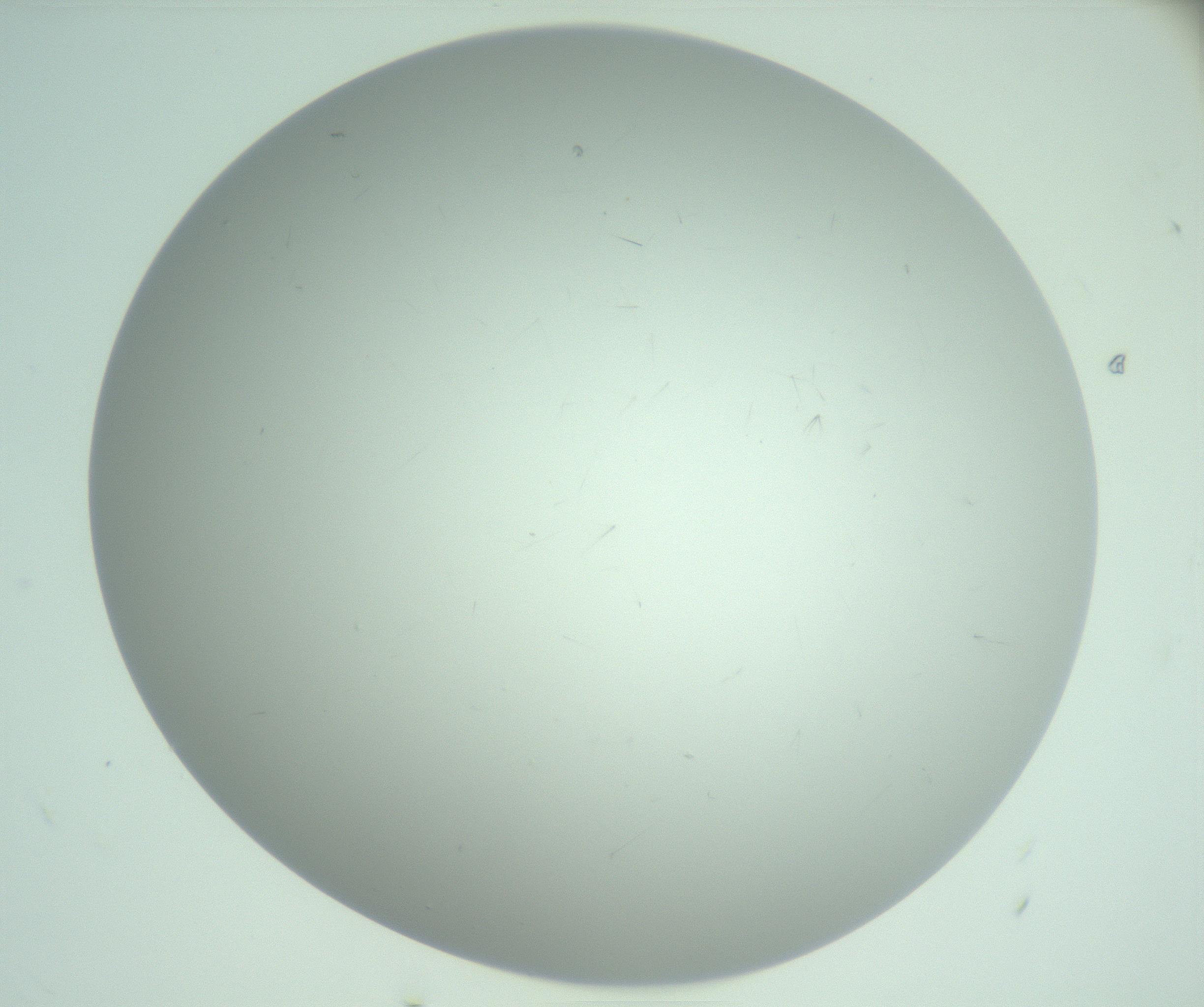 RI01_03_000_0212_Proj1_Clon1_MC_0000MC103220_003_170127_11_05_02_00_99_002_001_RAI.jpg