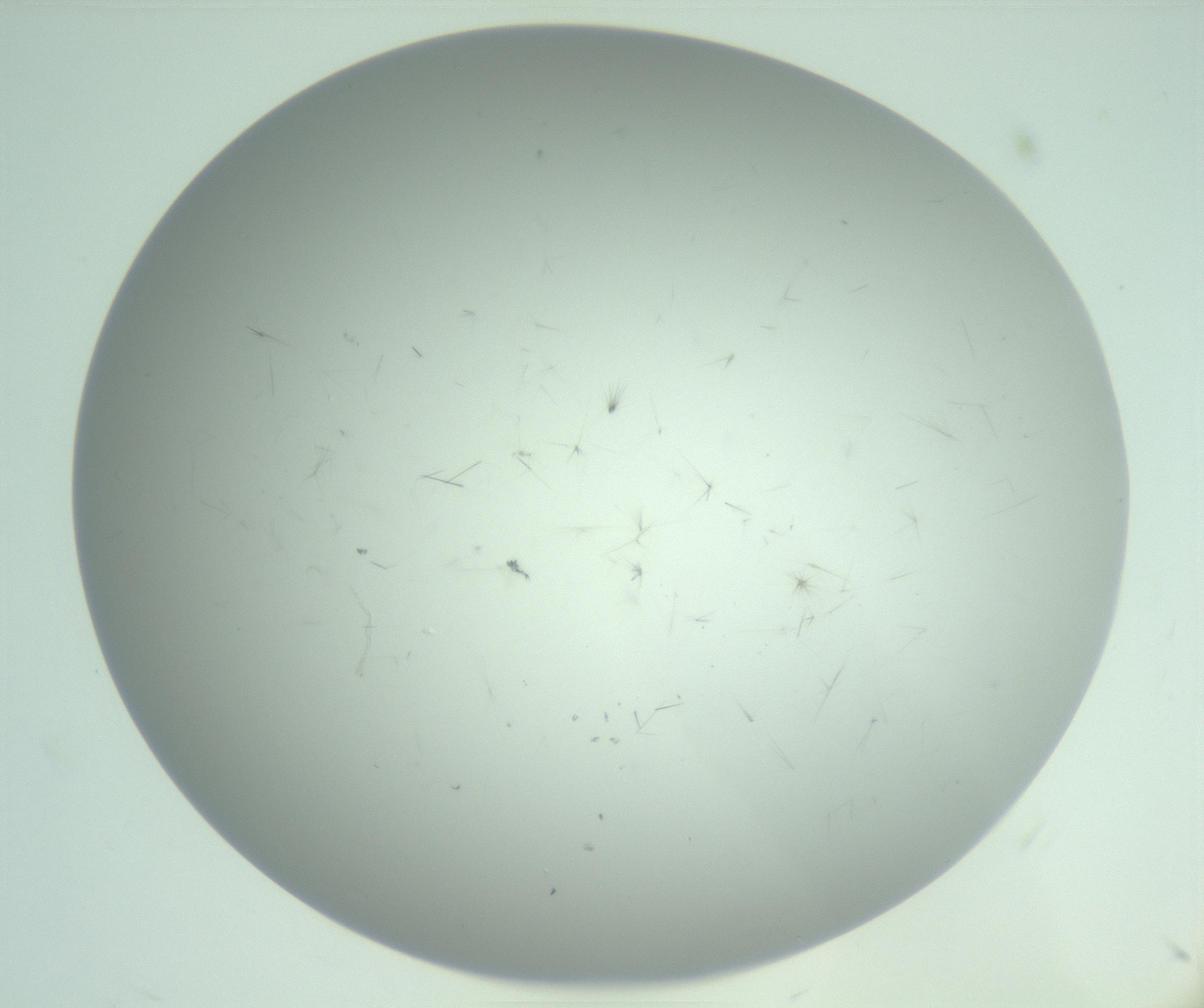 RI01_03_000_0212_Proj1_Clon1_MC_0000MC103220_003_170127_12_02_02_00_99_002_001_RAI.jpg