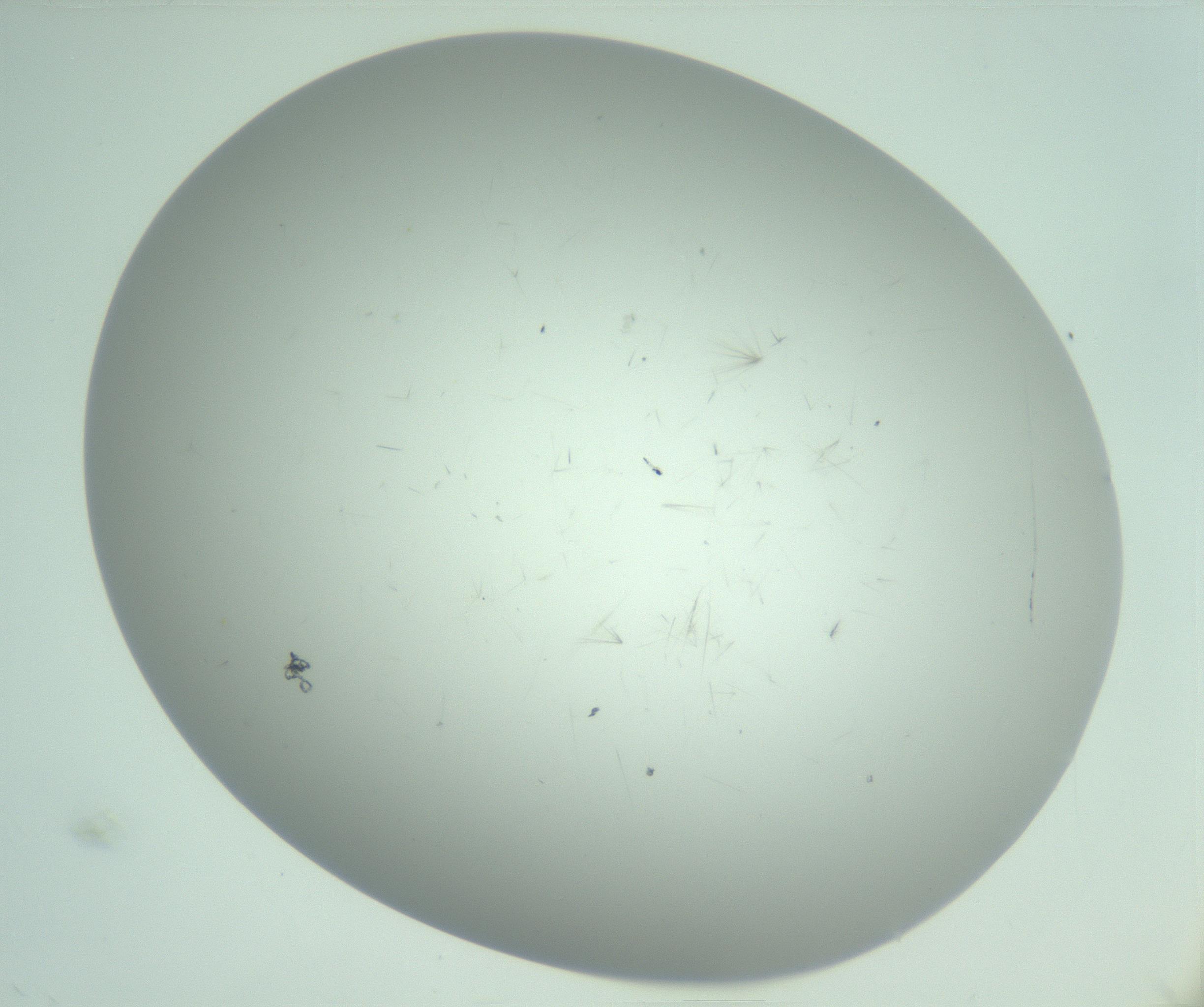 RI01_03_000_0212_Proj1_Clon1_MC_0000MC103220_003_170127_12_03_02_00_99_002_001_RAI.jpg