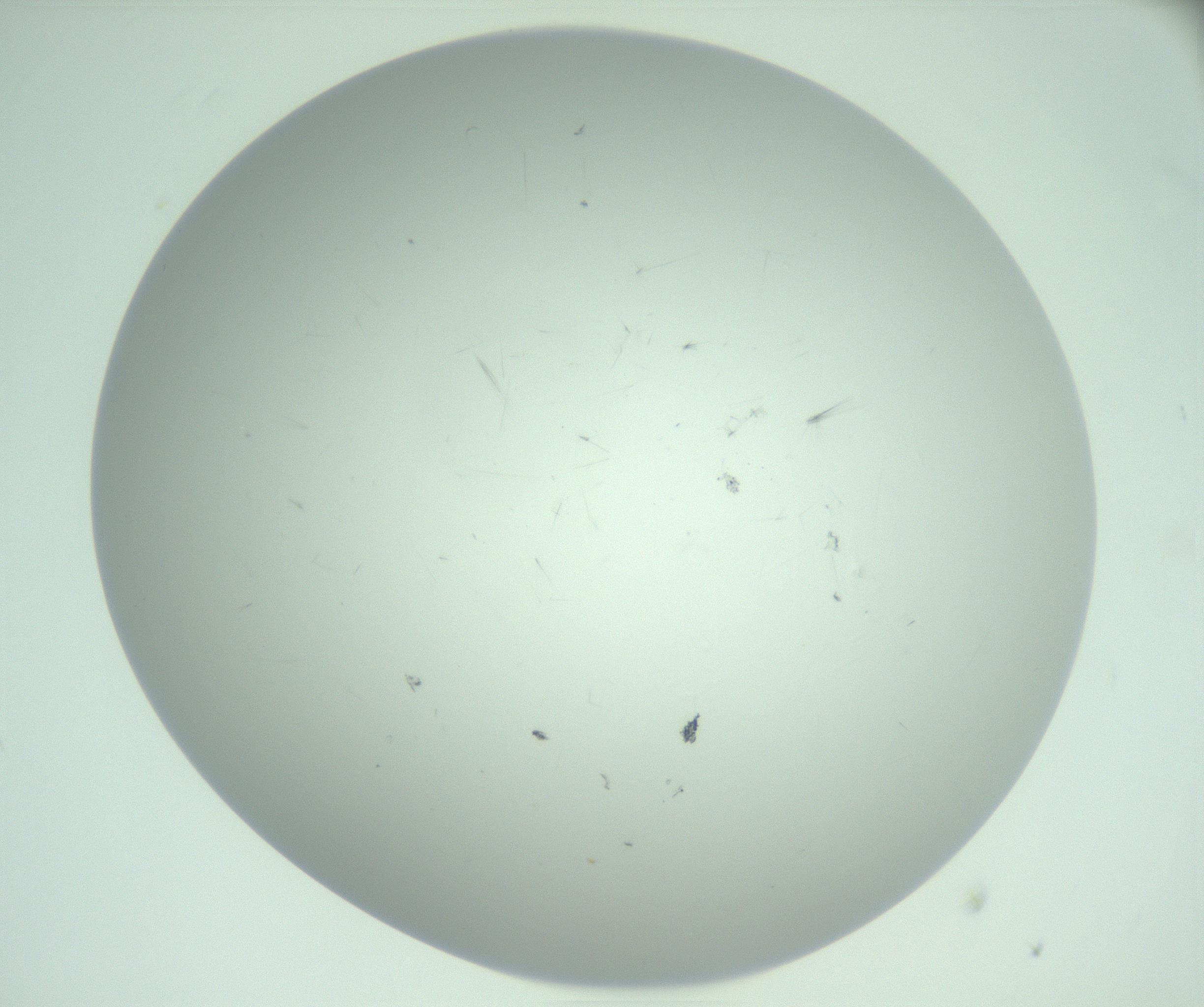 RI01_03_000_0212_Proj1_Clon1_MC_0000MC103220_003_170127_12_05_02_00_99_002_001_RAI.jpg