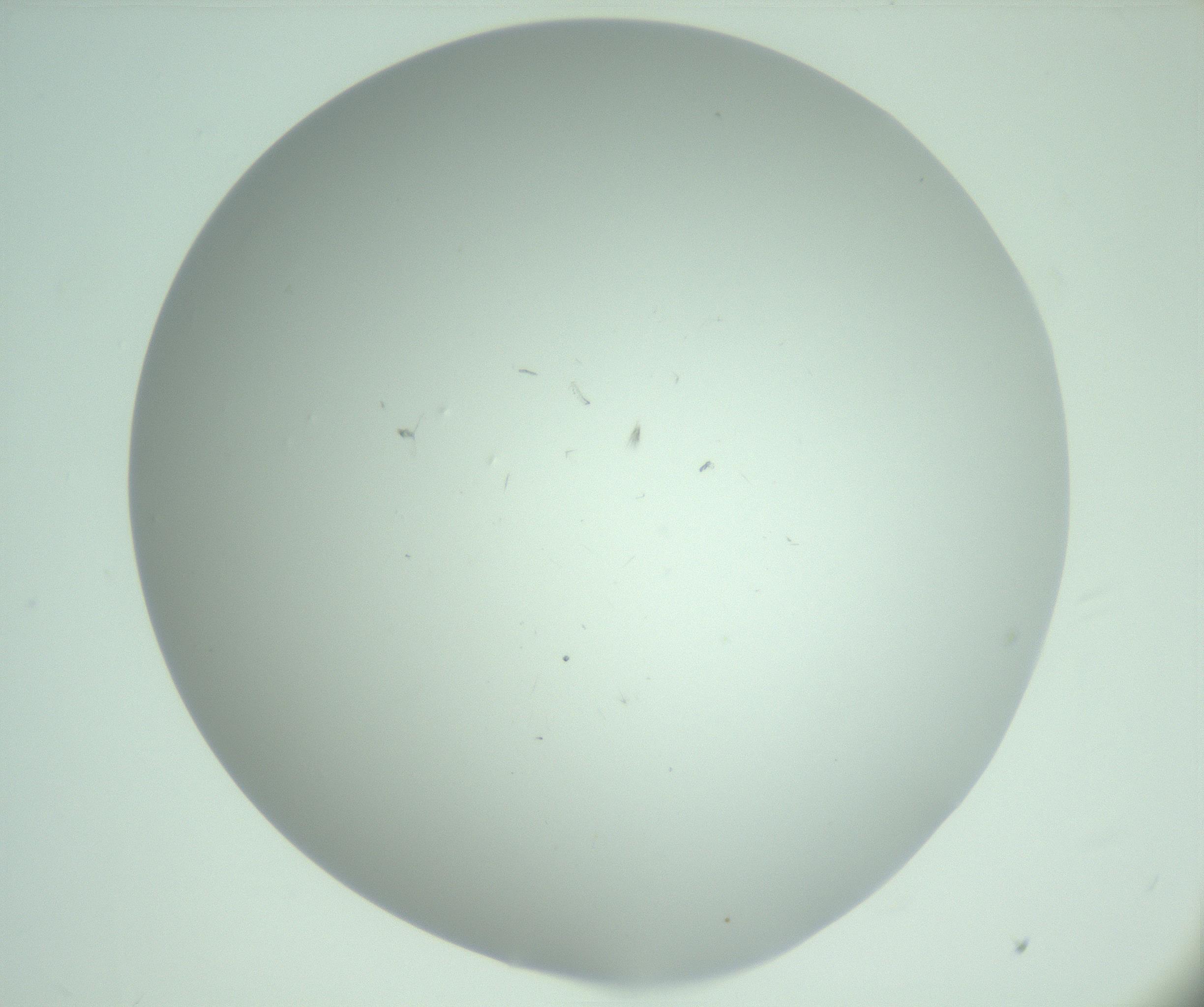 RI01_03_000_0212_Proj1_Clon1_MC_0000MC103220_004_170129_10_01_02_00_99_002_001_RAI.jpg