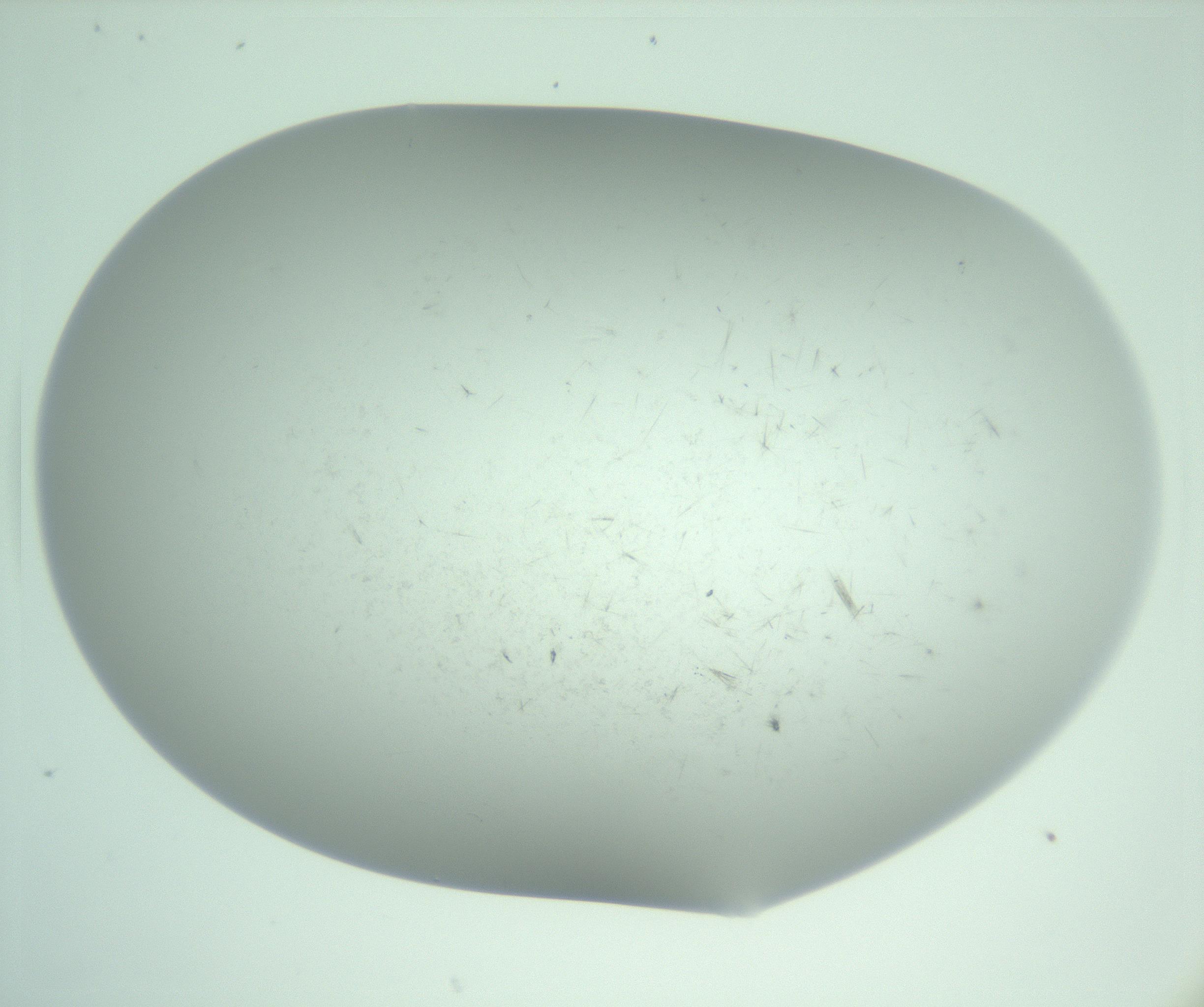 RI01_03_000_0212_Proj1_Clon1_MC_0000MC103220_006_170203_01_02_02_00_99_002_001_RAI.jpg