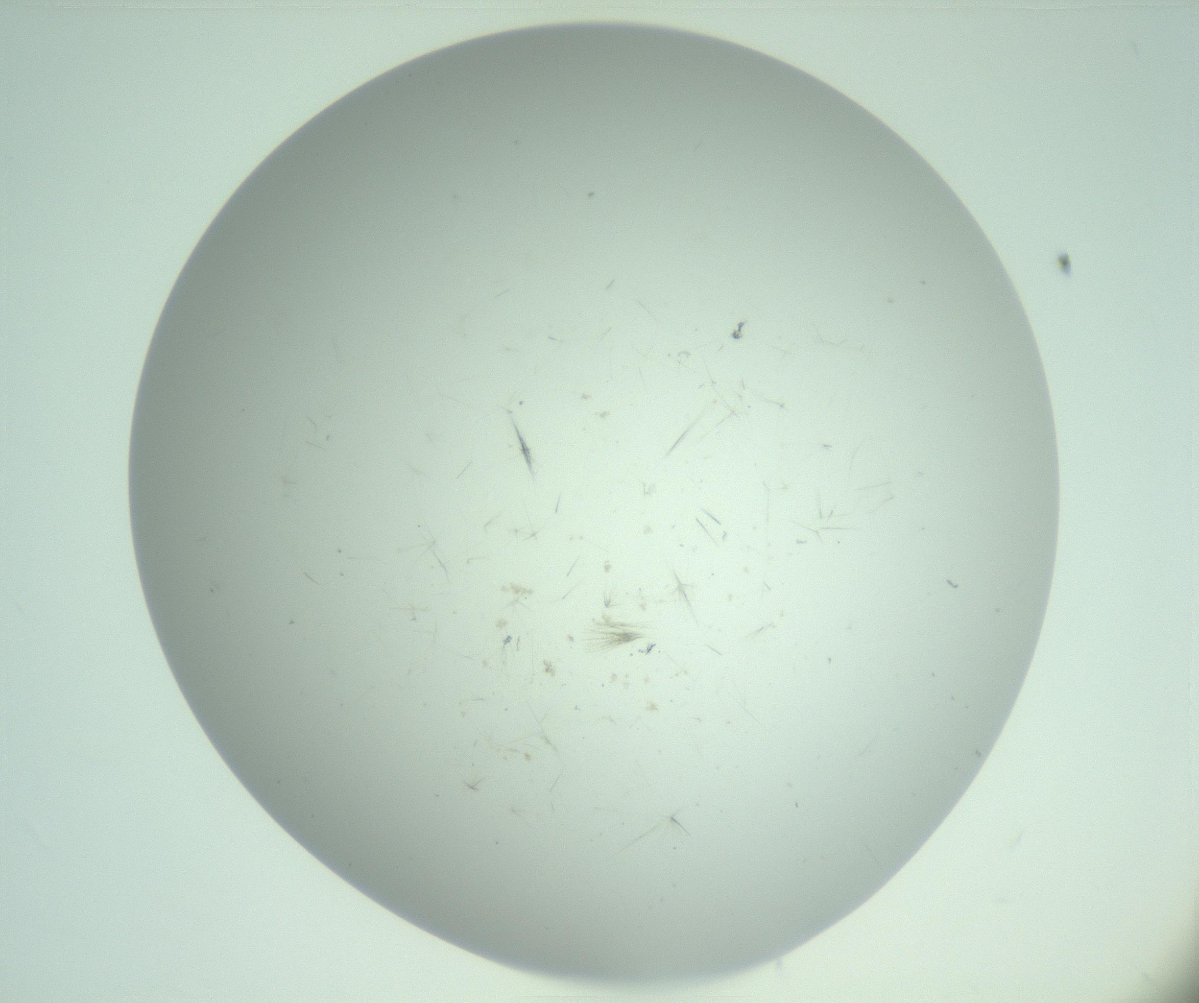 RI01_03_000_0212_Proj1_Clon1_MC_0000MC103220_006_170203_12_01_02_00_99_002_001_RAI.jpg