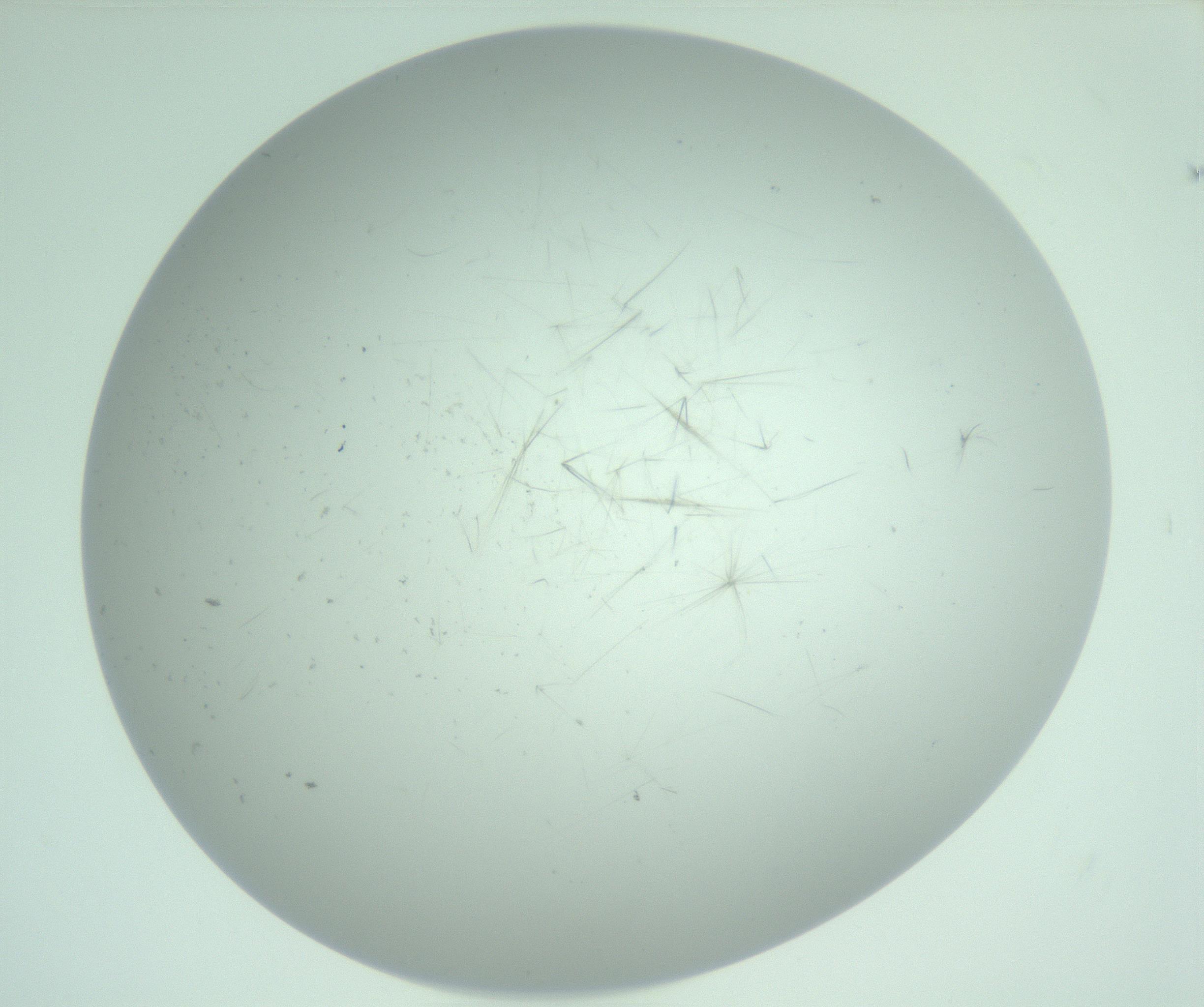 RI01_03_000_0212_Proj1_Clon1_MC_0000MC103220_006_170203_12_07_02_00_99_002_001_RAI.jpg