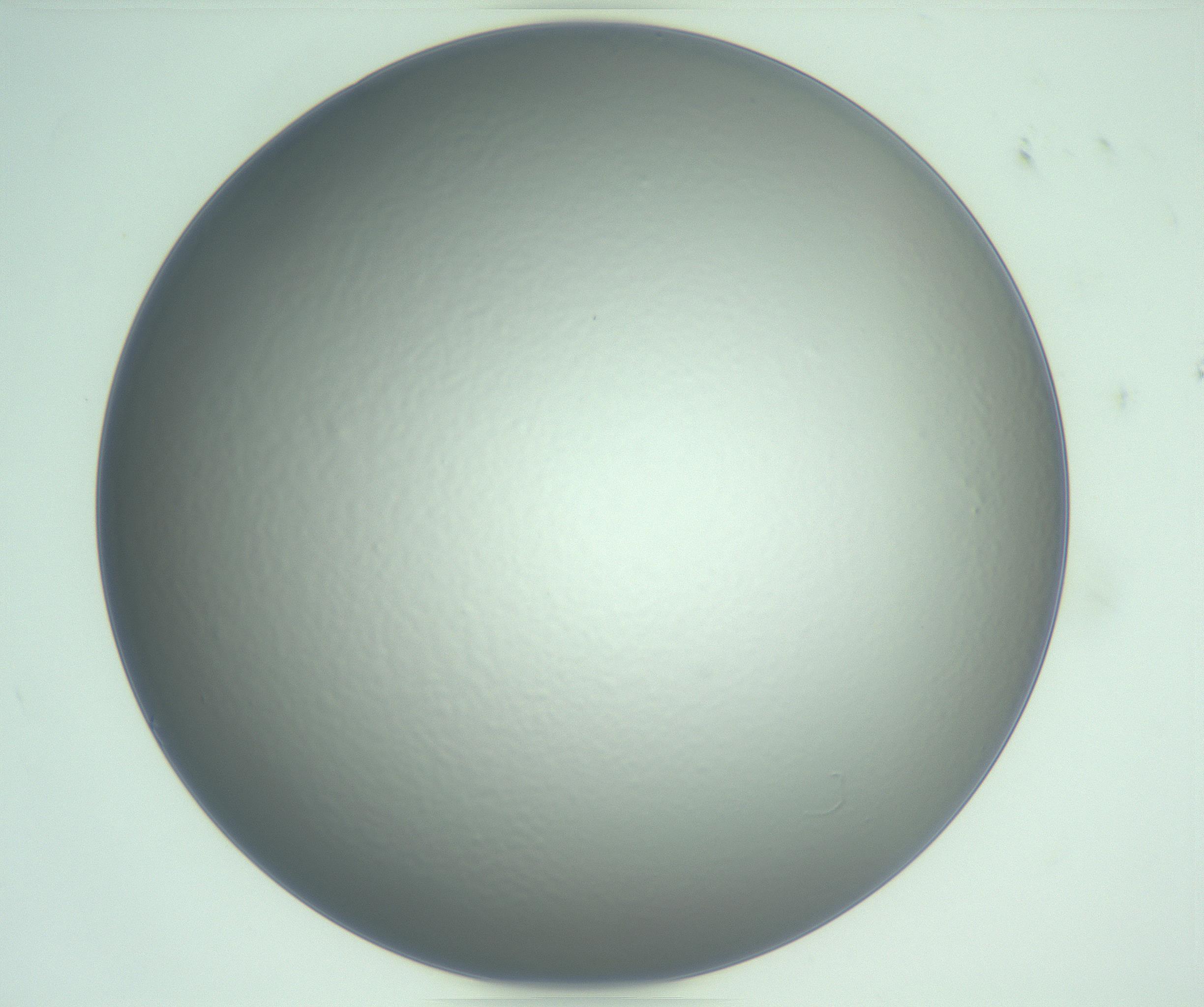 RI01_03_000_0212_Proj1_Clon1_MC_0000MC103221_002_170125_09_01_01_00_99_002_001_RAI.jpg