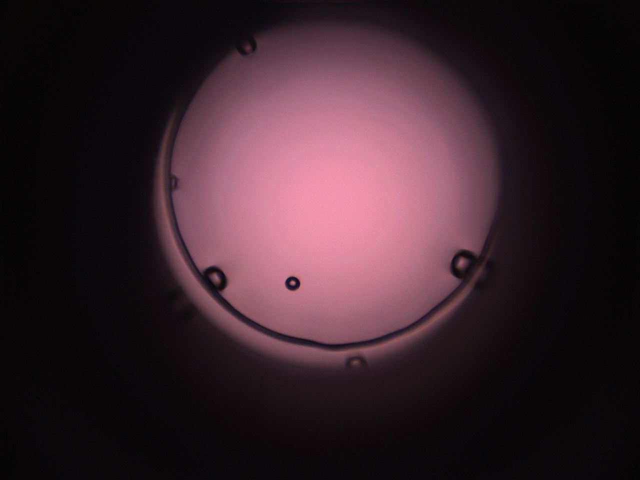 05i5_L1_ImagerDefaults_1.jpg