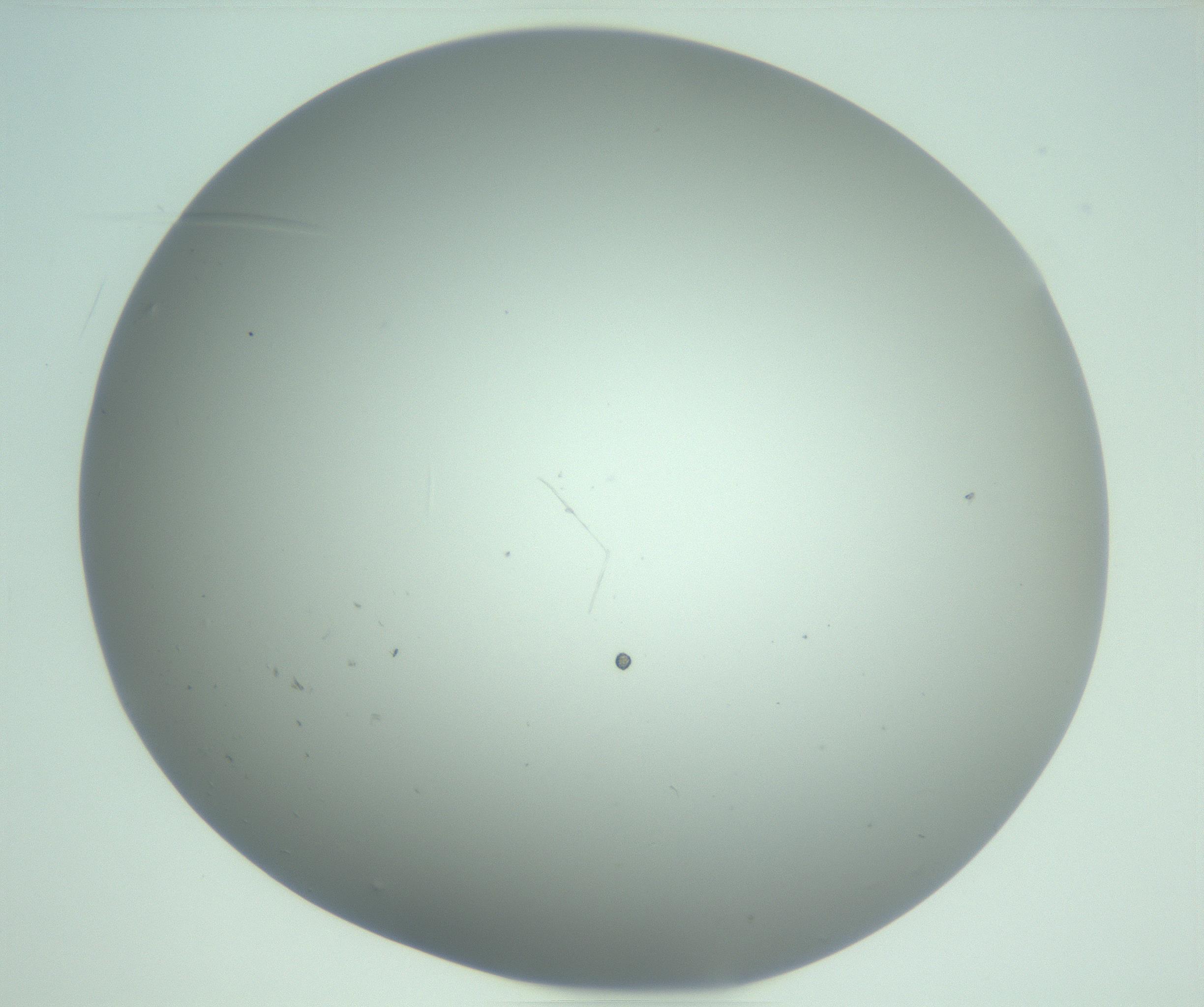 RI01_03_000_0212_Proj1_Clon1_MC_0000MC103221_002_170125_10_07_02_00_99_002_001_RAI.jpg