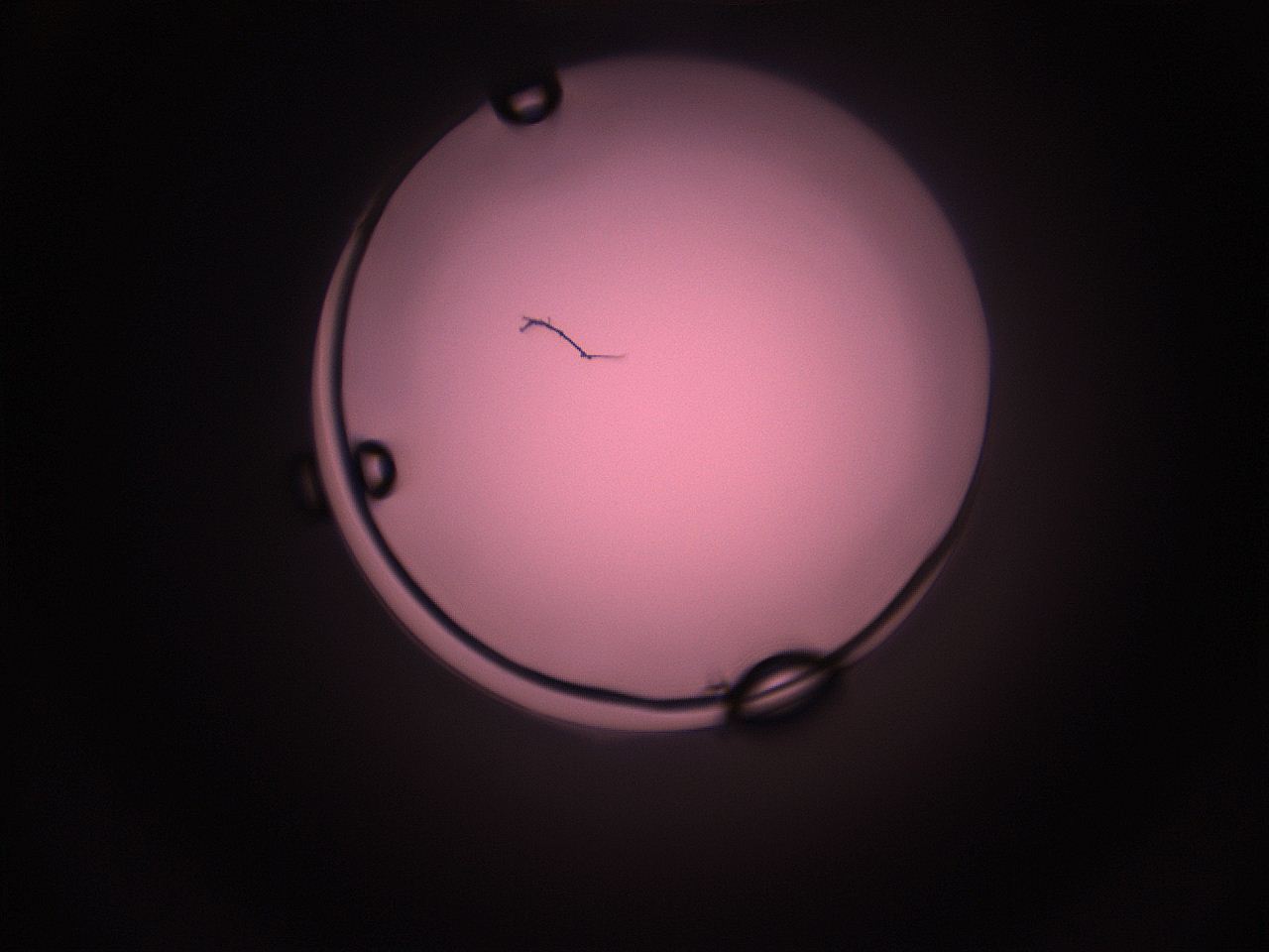 05i5_L4_ImagerDefaults_1.jpg