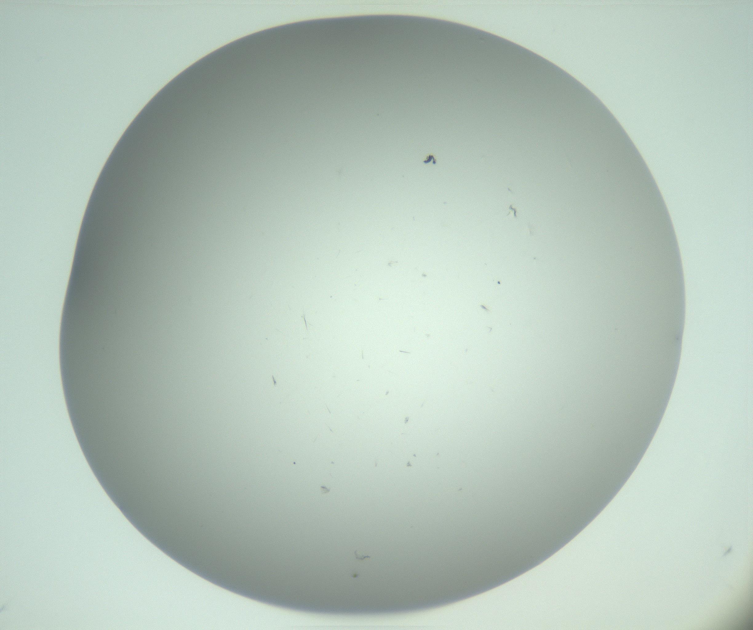 RI01_03_000_0212_Proj1_Clon1_MC_0000MC103221_003_170127_12_05_02_00_99_002_001_RAI.jpg