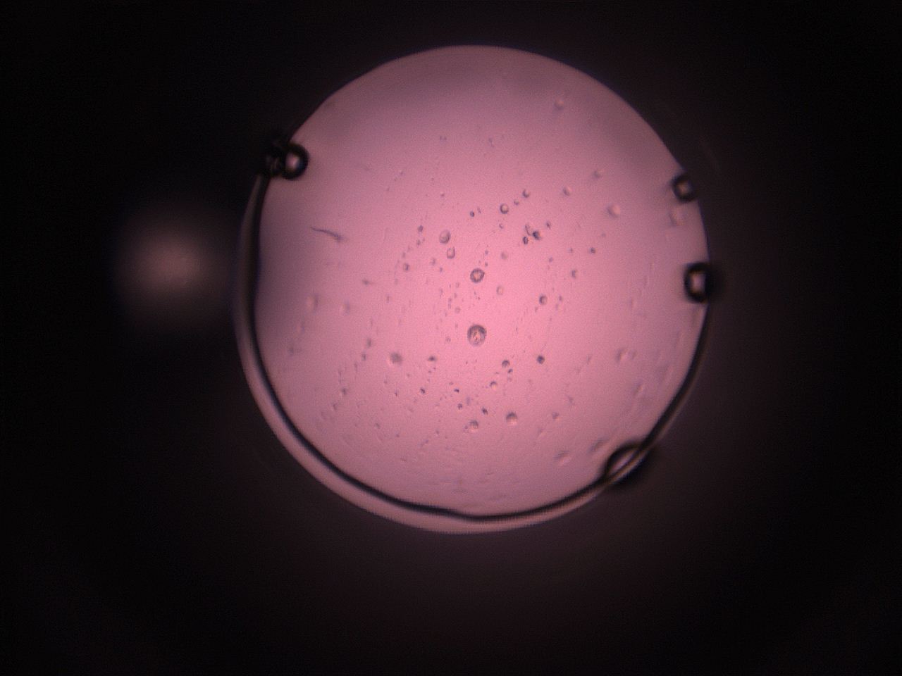 05i5_L8_ImagerDefaults_9.jpg