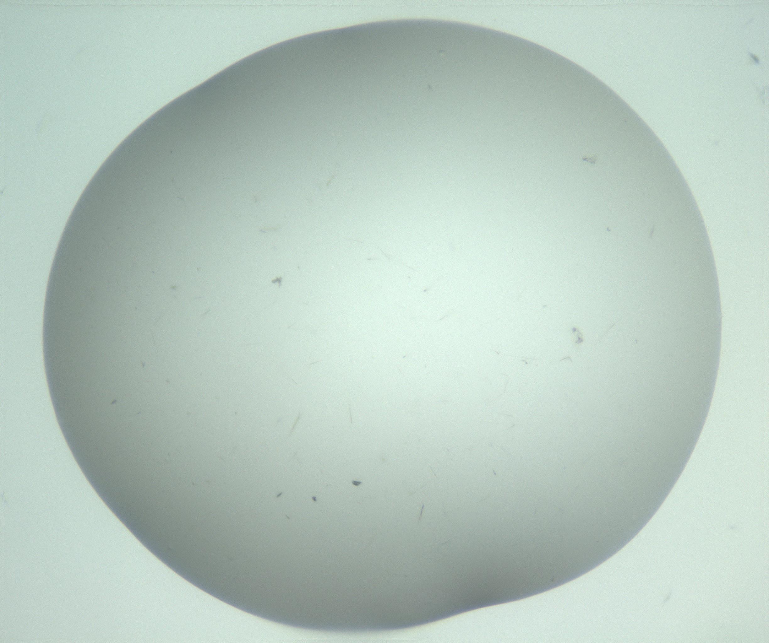 RI01_03_000_0212_Proj1_Clon1_MC_0000MC103221_004_170129_10_08_02_00_99_002_001_RAI.jpg