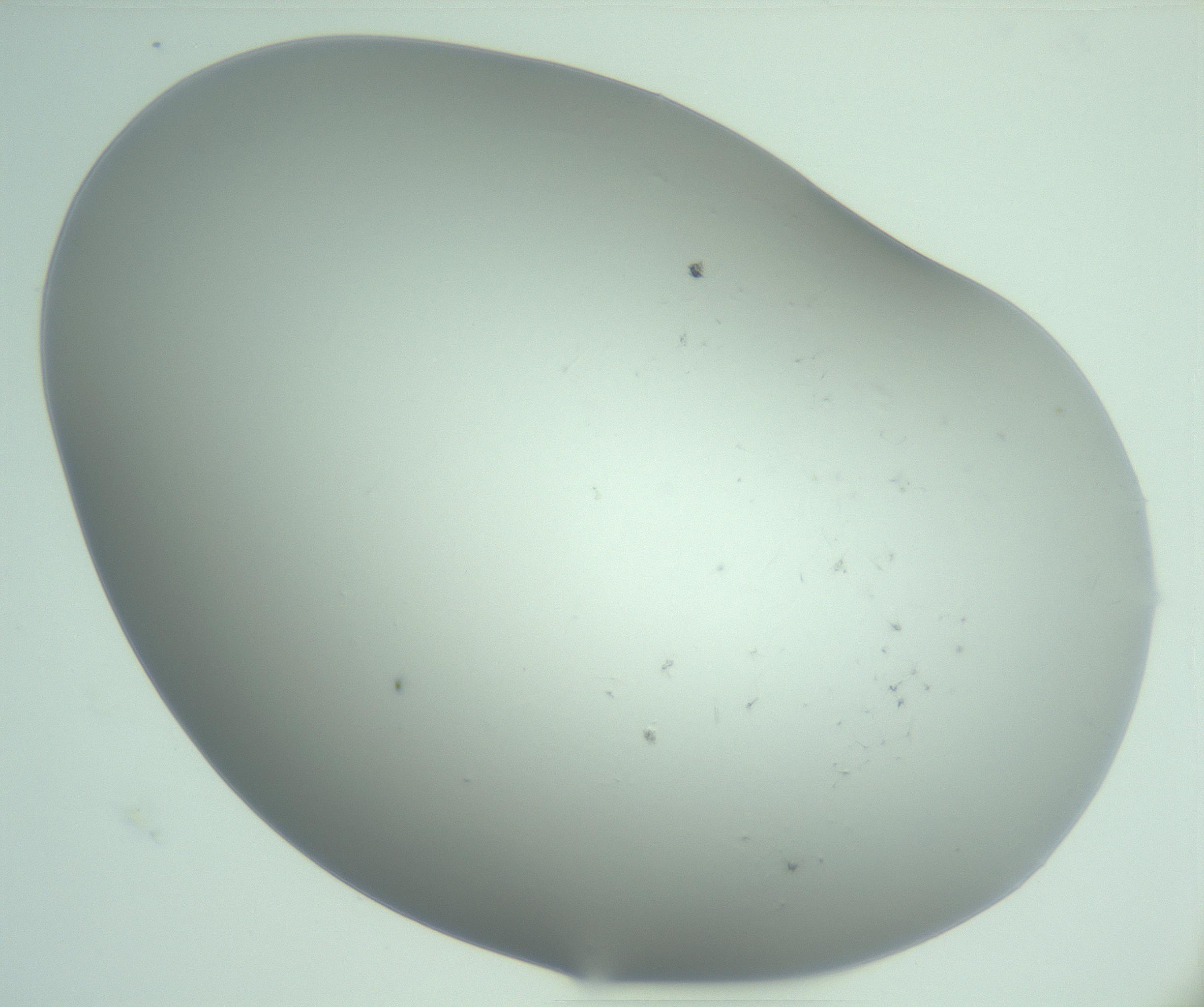 RI01_03_000_0212_Proj1_Clon1_MC_0000MC103221_006_170203_05_03_02_00_99_002_001_RAI.jpg