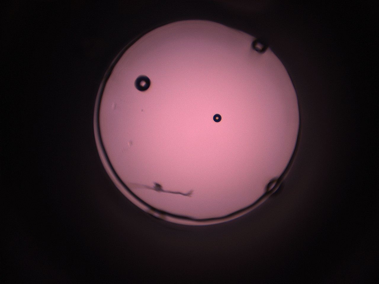 05i5_L9_ImagerDefaults_1.jpg