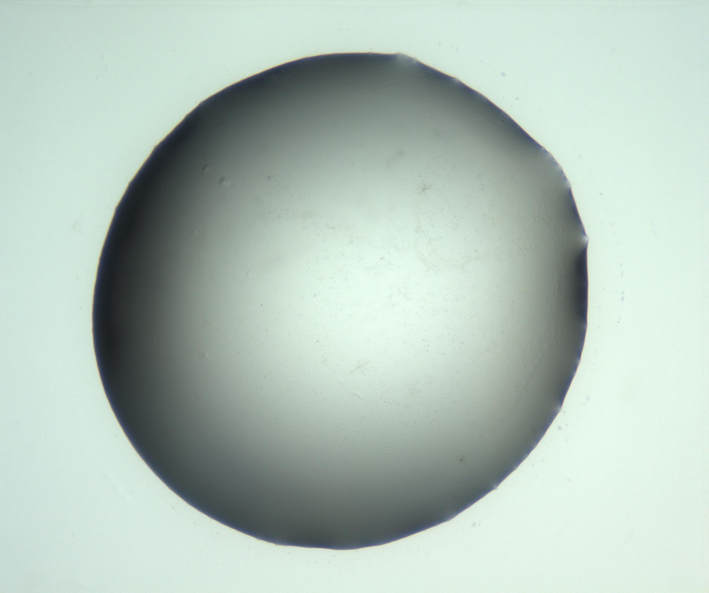 RI01_03_000_0212_Proj1_Clon1_MC_0000MC103223_007_170208_02_07_01_00_99_002_001_RAI.jpg