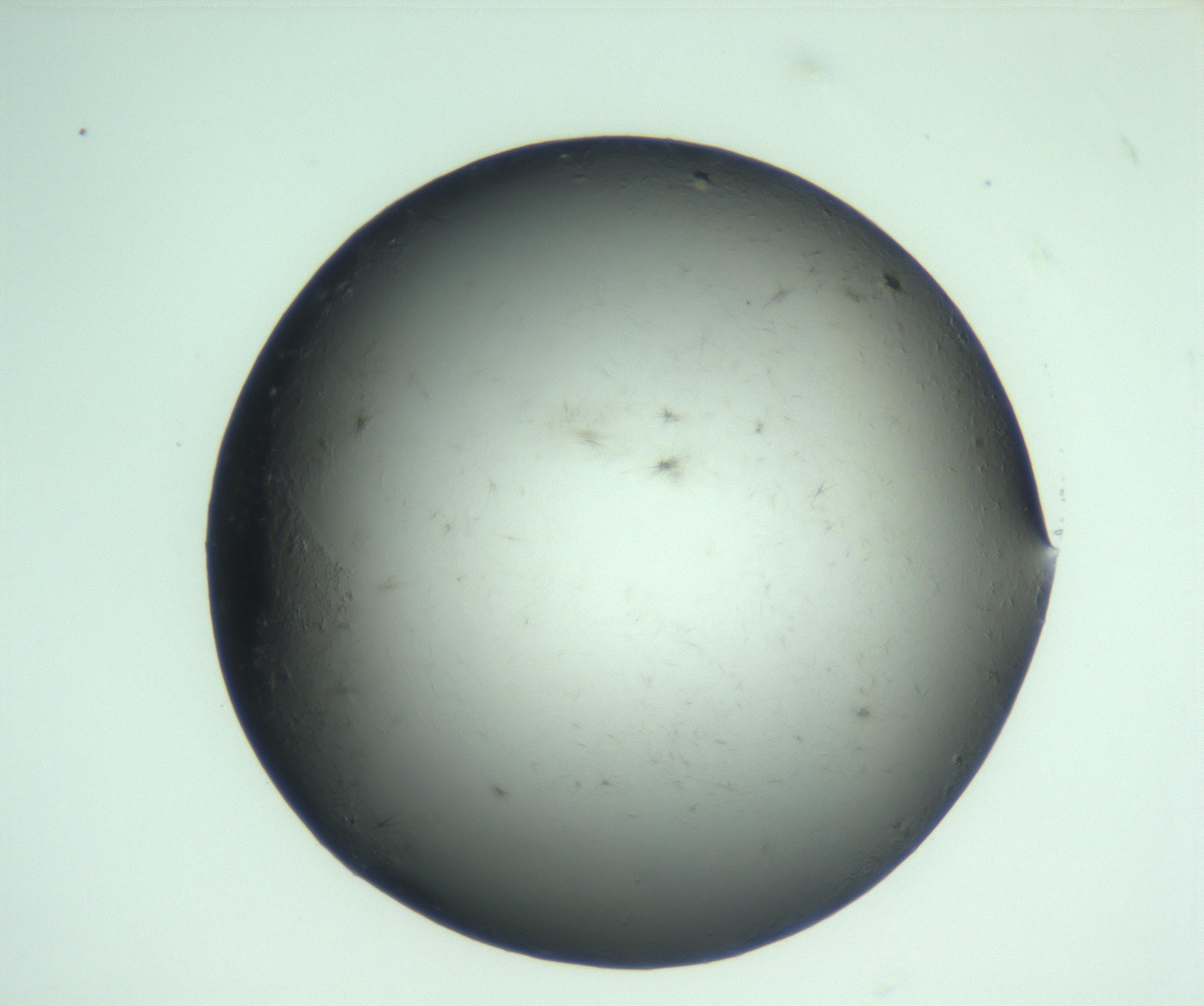 RI01_03_000_0212_Proj1_Clon1_MC_0000MC103223_007_170208_03_05_01_00_99_002_001_RAI.jpg