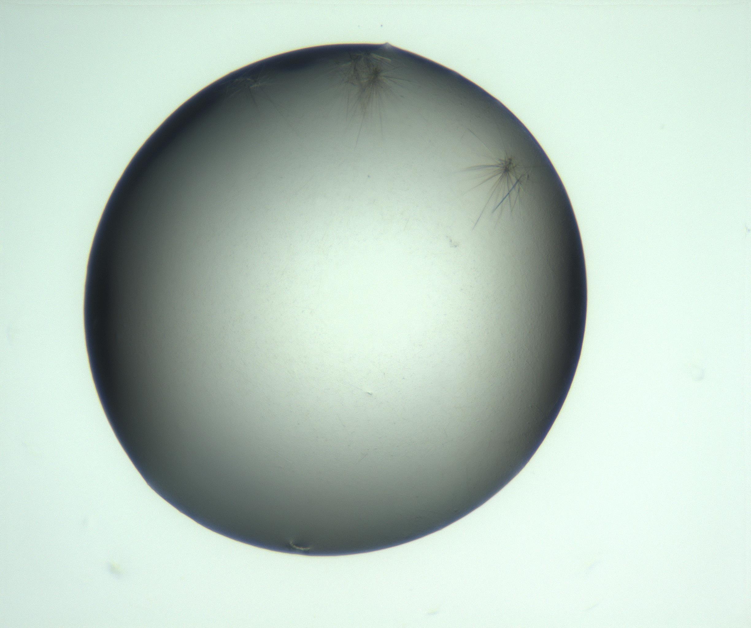 RI01_03_000_0212_Proj1_Clon1_MC_0000MC103223_009_170222_05_01_02_00_99_002_001_RAI.jpg