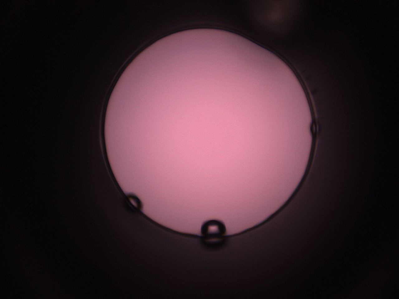 05i5_L13_ImagerDefaults_1.jpg