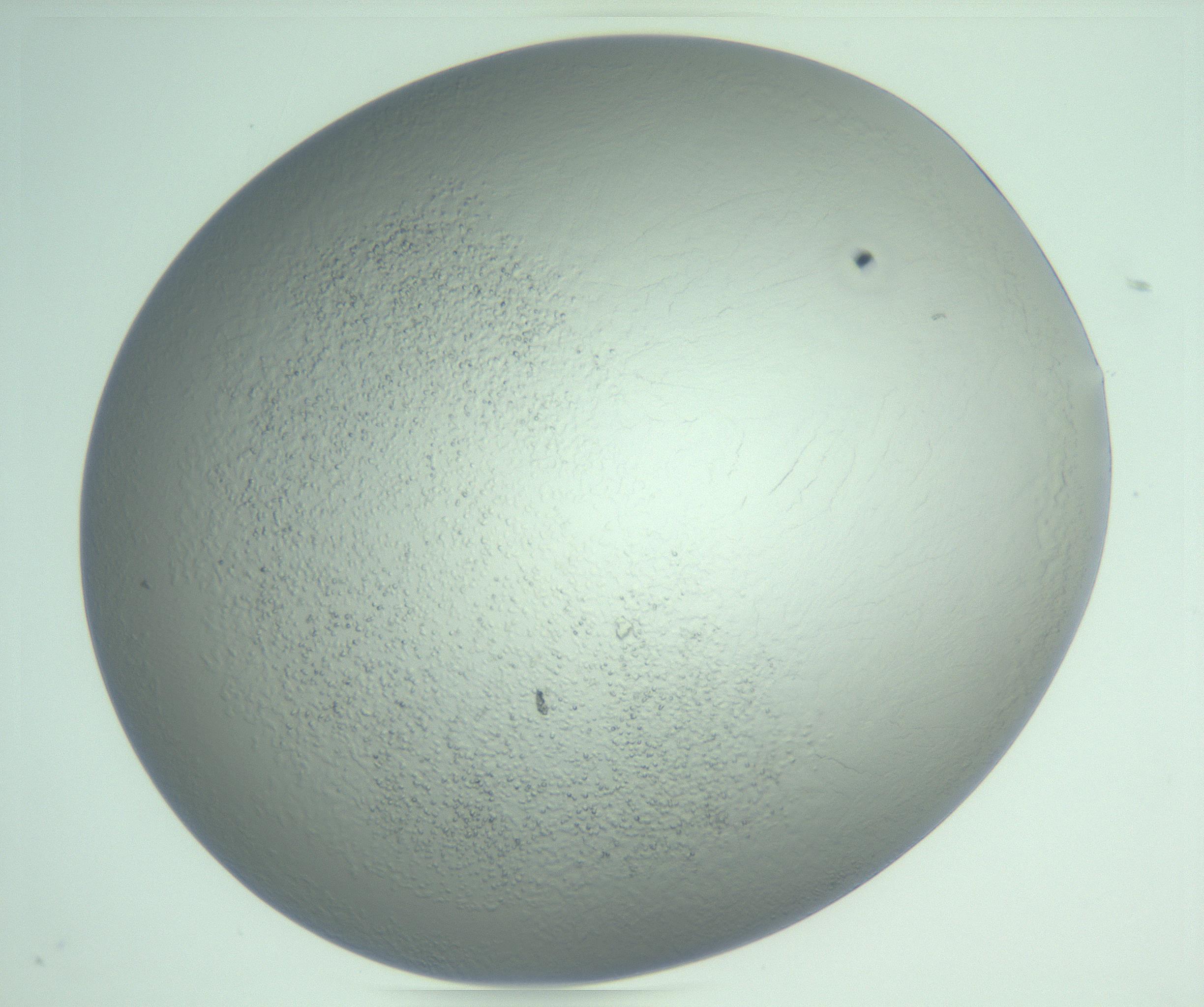 RI01_03_000_0212_Proj1_Clon1_MC_0000MC103234_007_170210_04_07_02_00_99_002_001_RAI.jpg