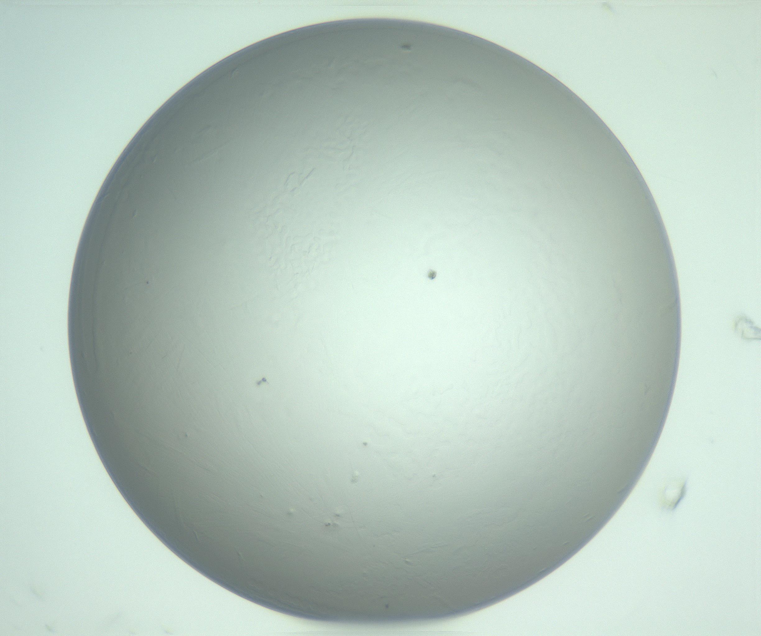 RI01_03_000_0212_Proj1_Clon1_MC_0000MC103234_007_170210_08_05_02_00_99_002_001_RAI.jpg