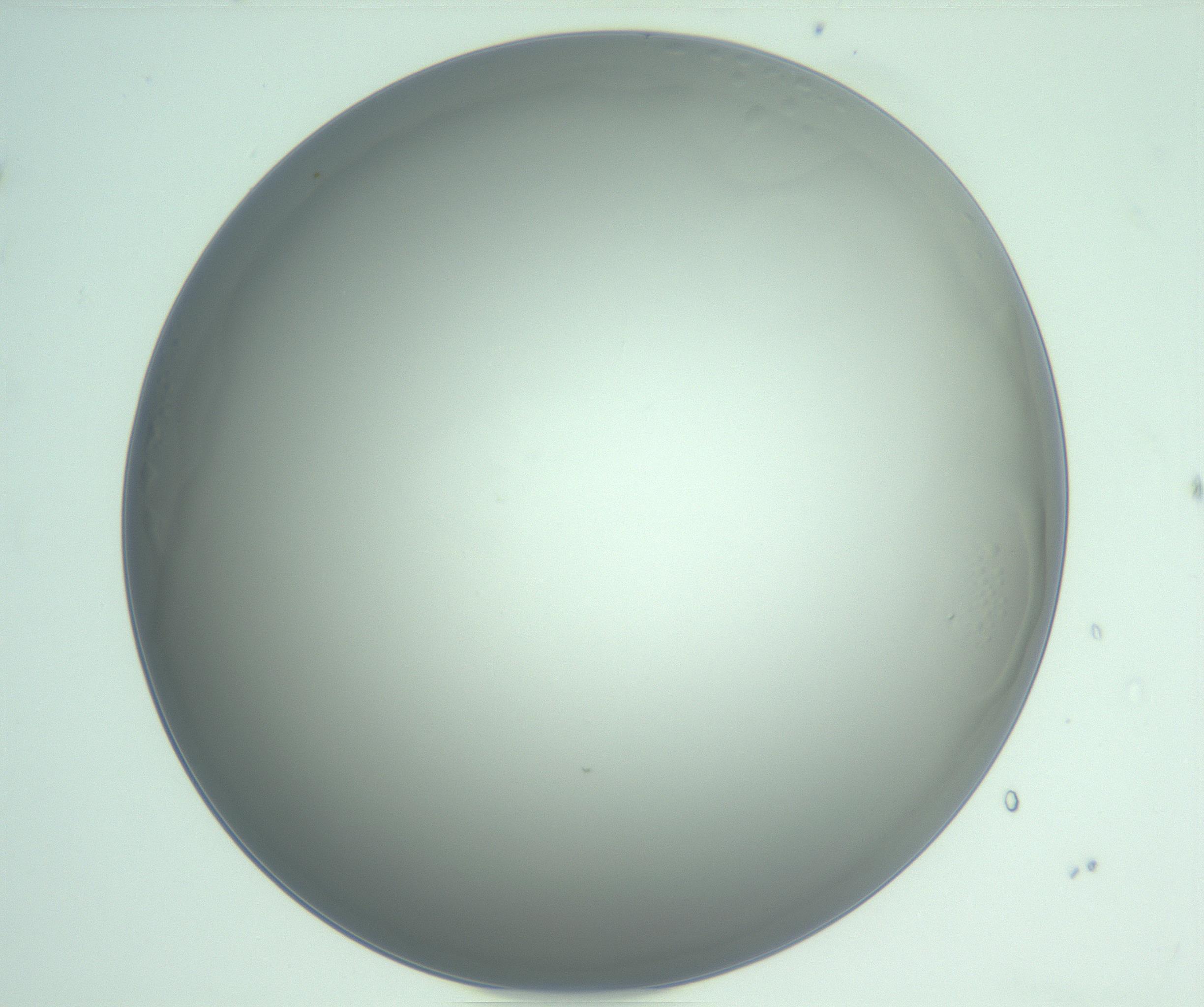 RI01_03_000_0212_Proj1_Clon1_MC_0000MC103234_007_170210_08_07_01_00_99_002_001_RAI.jpg