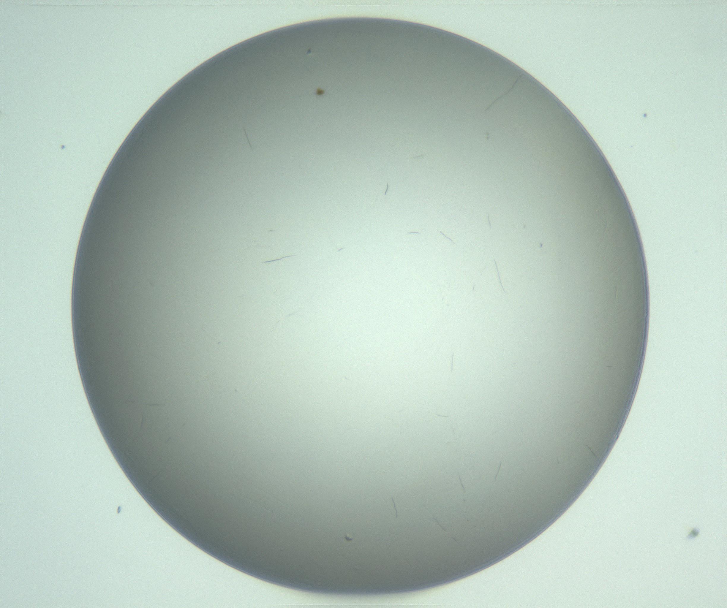 RI01_03_000_0212_Proj1_Clon1_MC_0000MC103234_007_170210_09_06_01_00_99_002_001_RAI.jpg