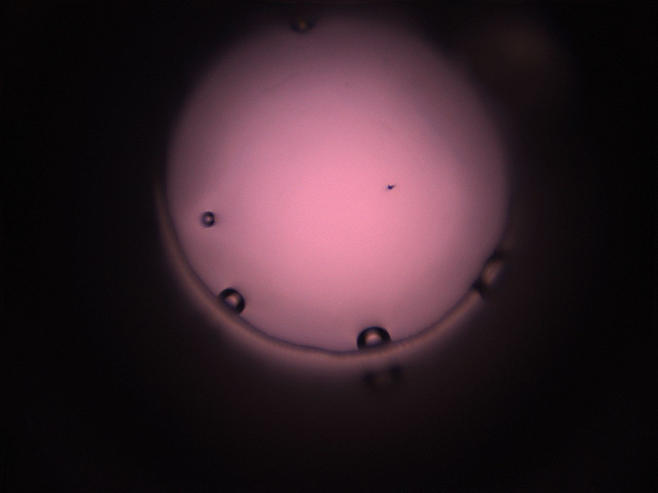 05i5_M1_ImagerDefaults_1.jpg