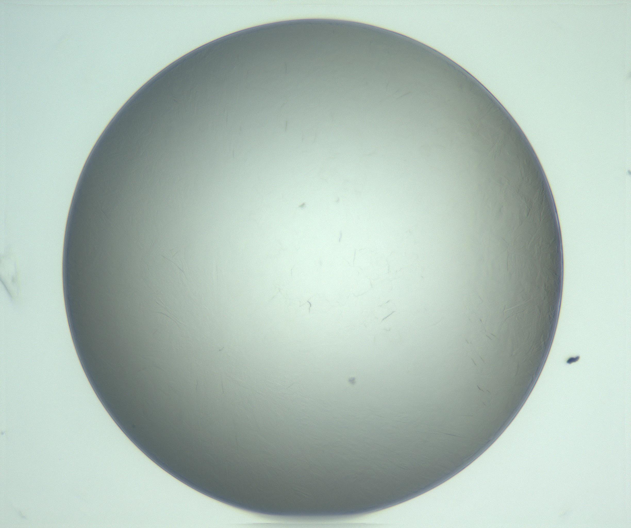 RI01_03_000_0212_Proj1_Clon1_MC_0000MC103234_007_170210_09_07_01_00_99_002_001_RAI.jpg