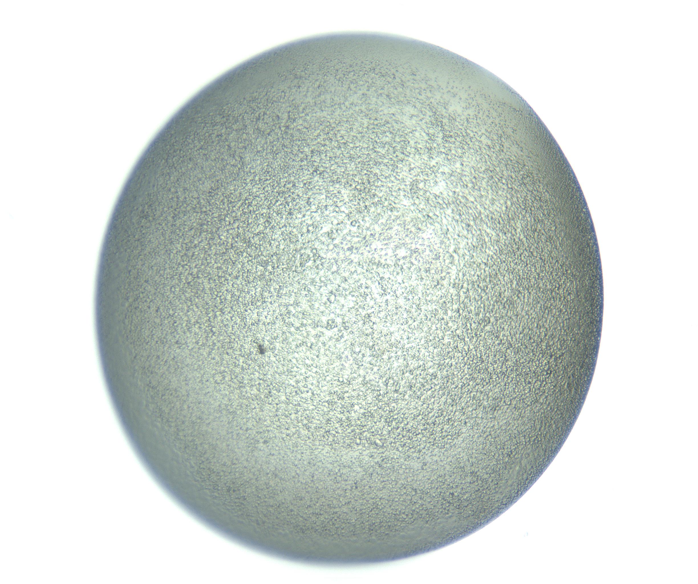 RI01_03_000_0212_Proj1_Clon1_MC_0000MC103234_007_170210_10_07_01_00_99_002_001_RAI.jpg