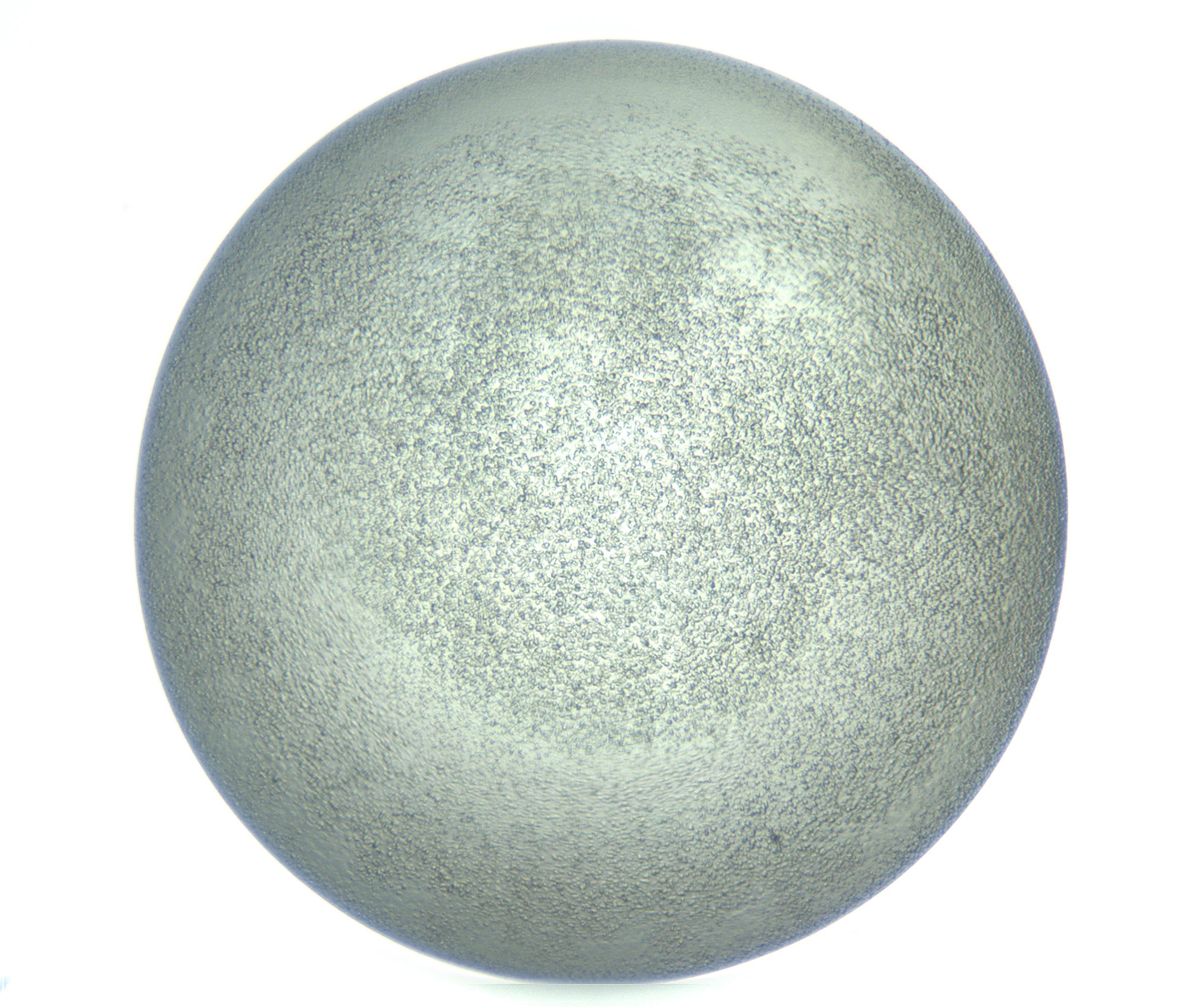 RI01_03_000_0212_Proj1_Clon1_MC_0000MC103234_007_170210_10_08_01_00_99_002_001_RAI.jpg