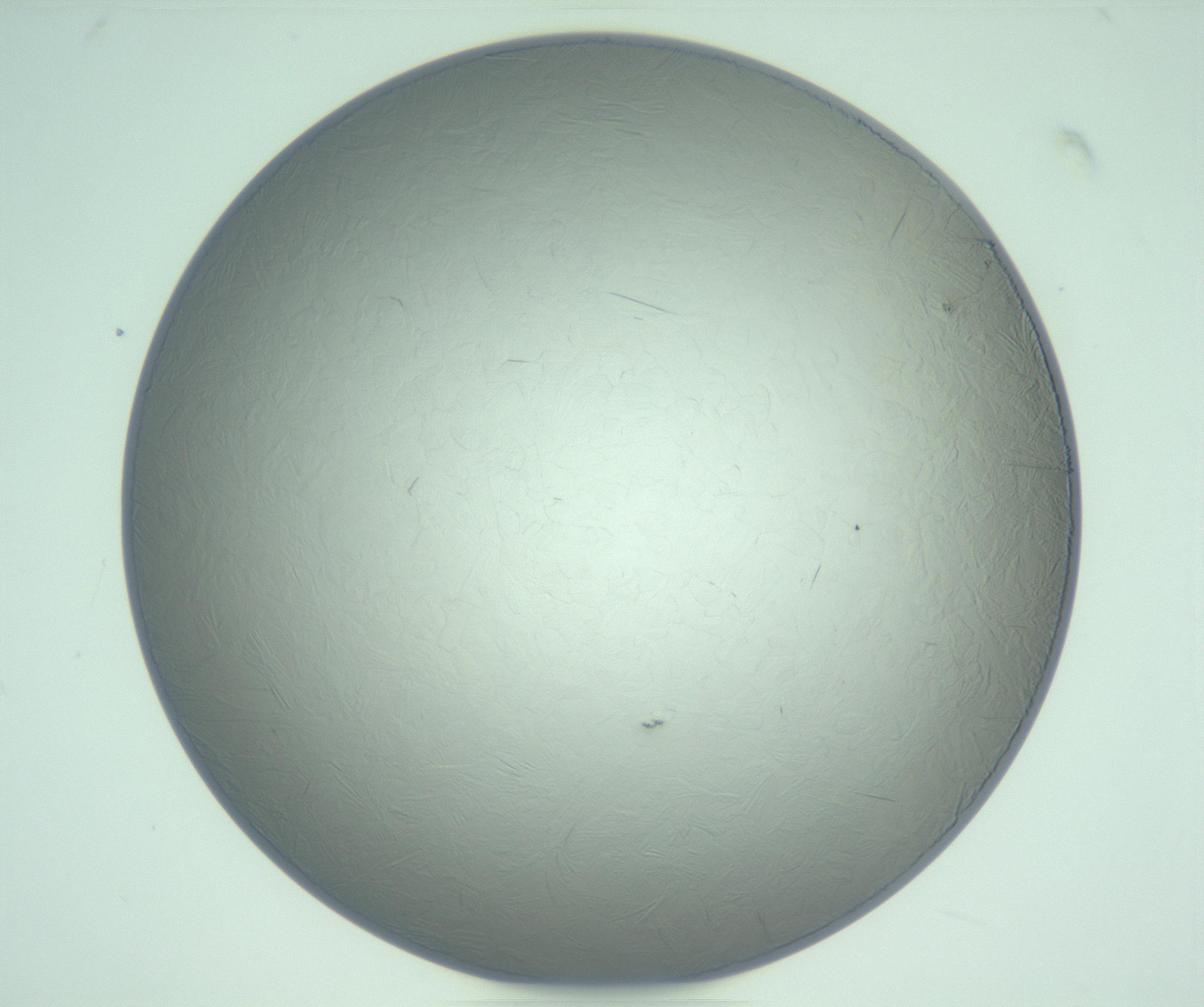 RI01_03_000_0212_Proj1_Clon1_MC_0000MC103234_007_170210_12_07_01_00_99_002_001_RAI.jpg