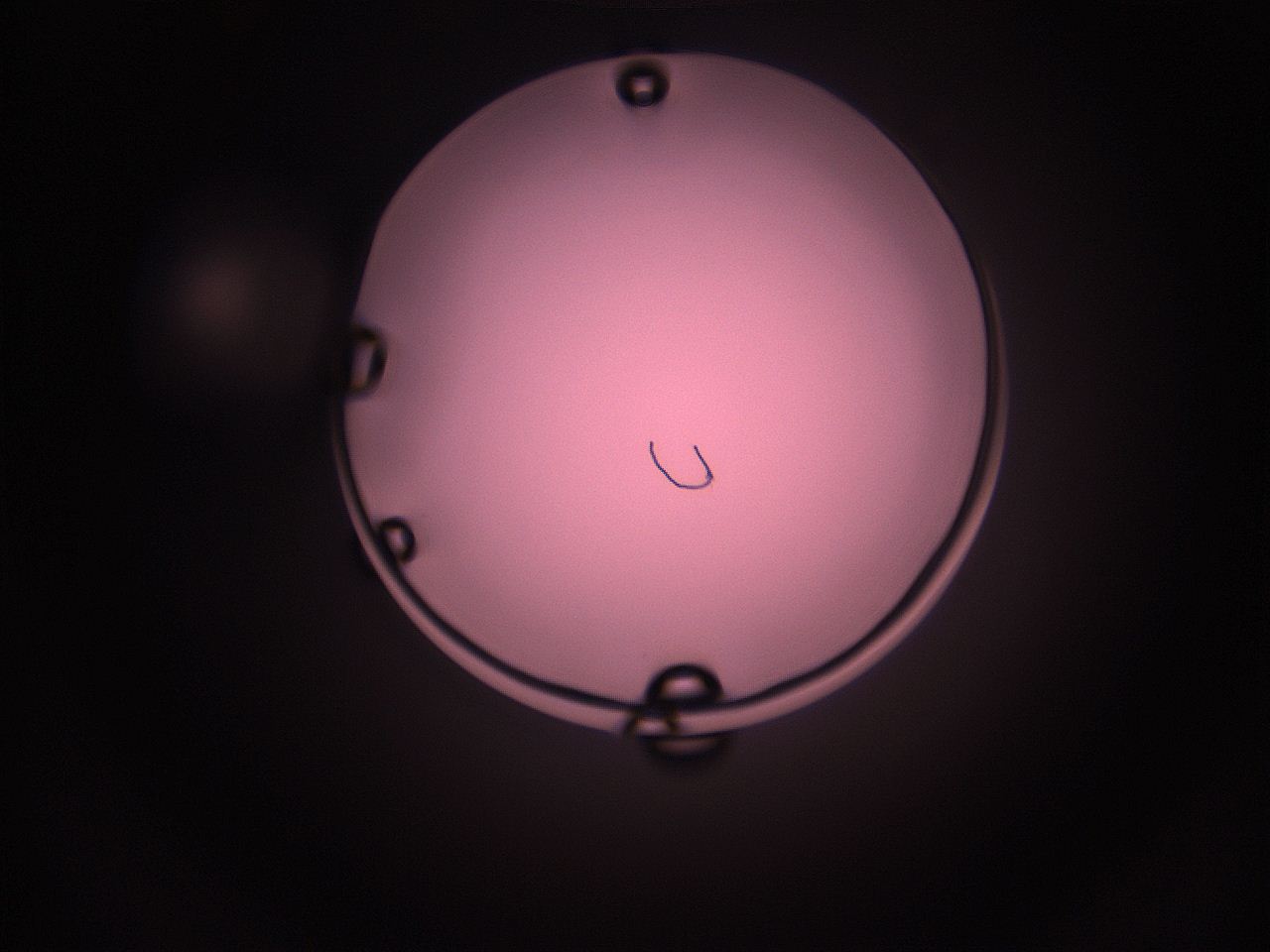 05i5_M6_ImagerDefaults_1.jpg