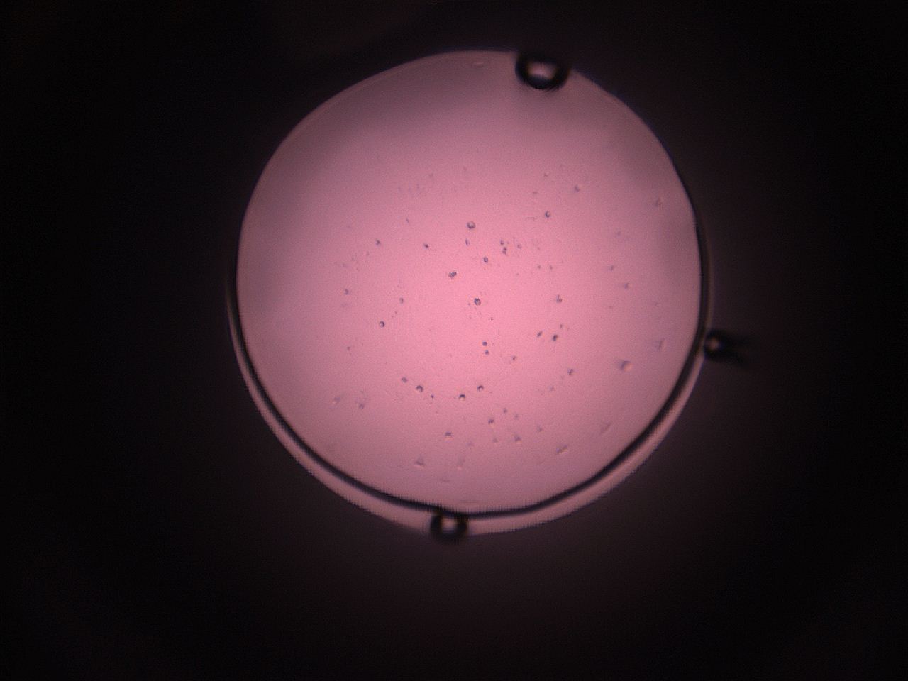 05i5_M7_ImagerDefaults_9.jpg