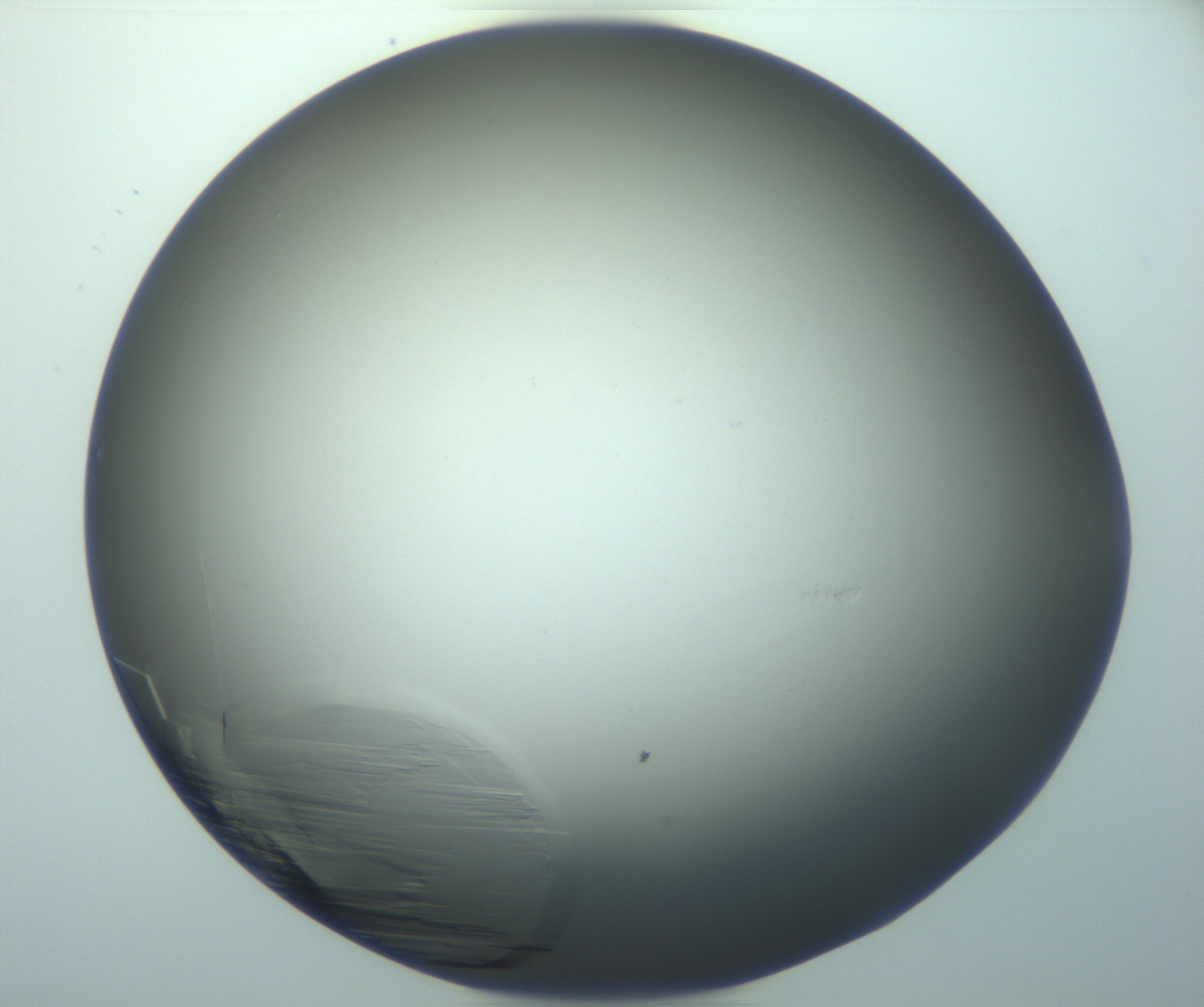 RI01_03_000_0212_Proj1_Clon1_MC_0000MC103243_004_170206_11_07_01_00_99_002_001_RAI.jpg