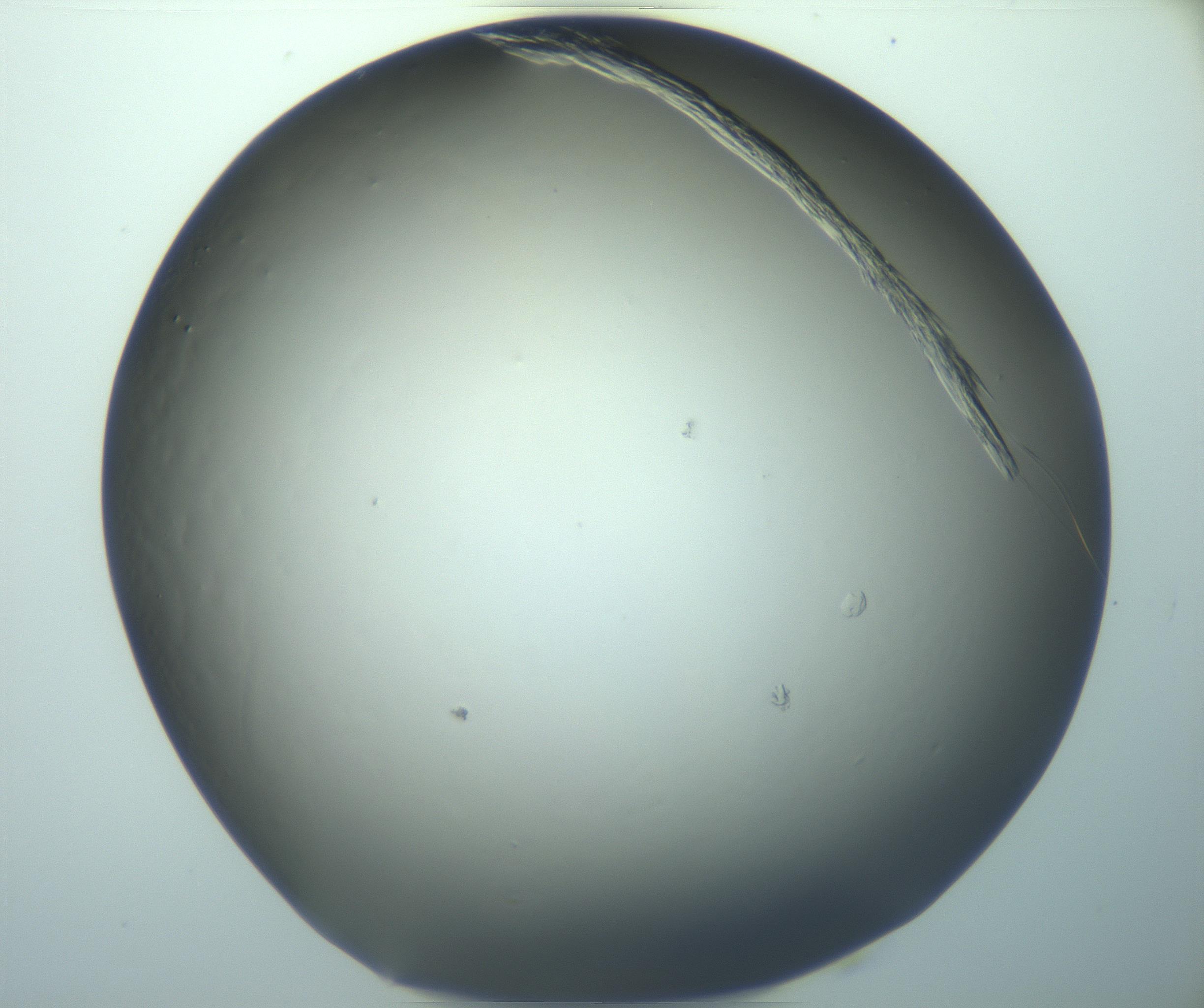 RI01_03_000_0212_Proj1_Clon1_MC_0000MC103244_004_170206_11_04_02_00_99_002_001_RAI.jpg
