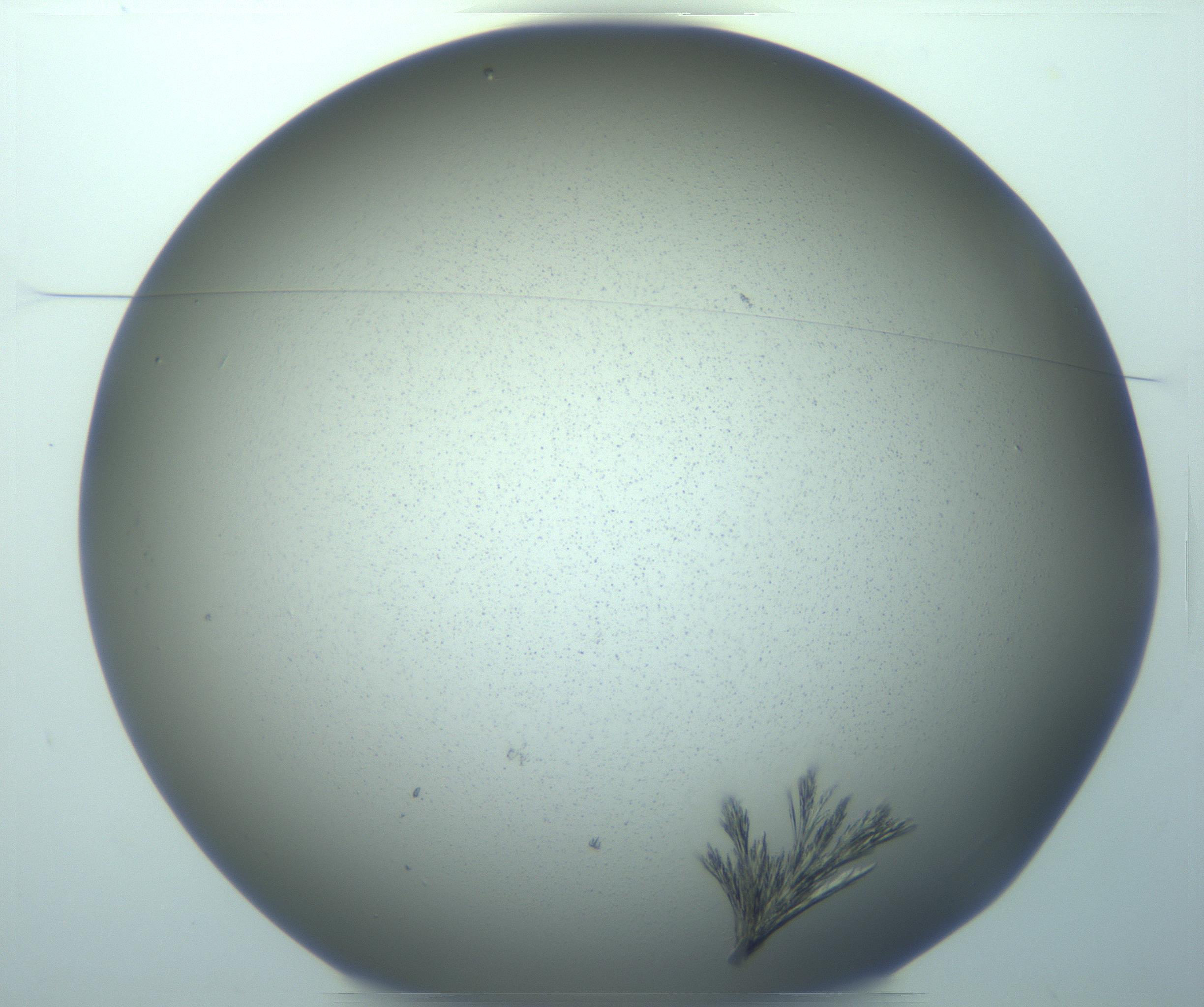 RI01_03_000_0212_Proj1_Clon1_MC_0000MC103244_006_170211_10_01_01_00_99_002_001_RAI.jpg