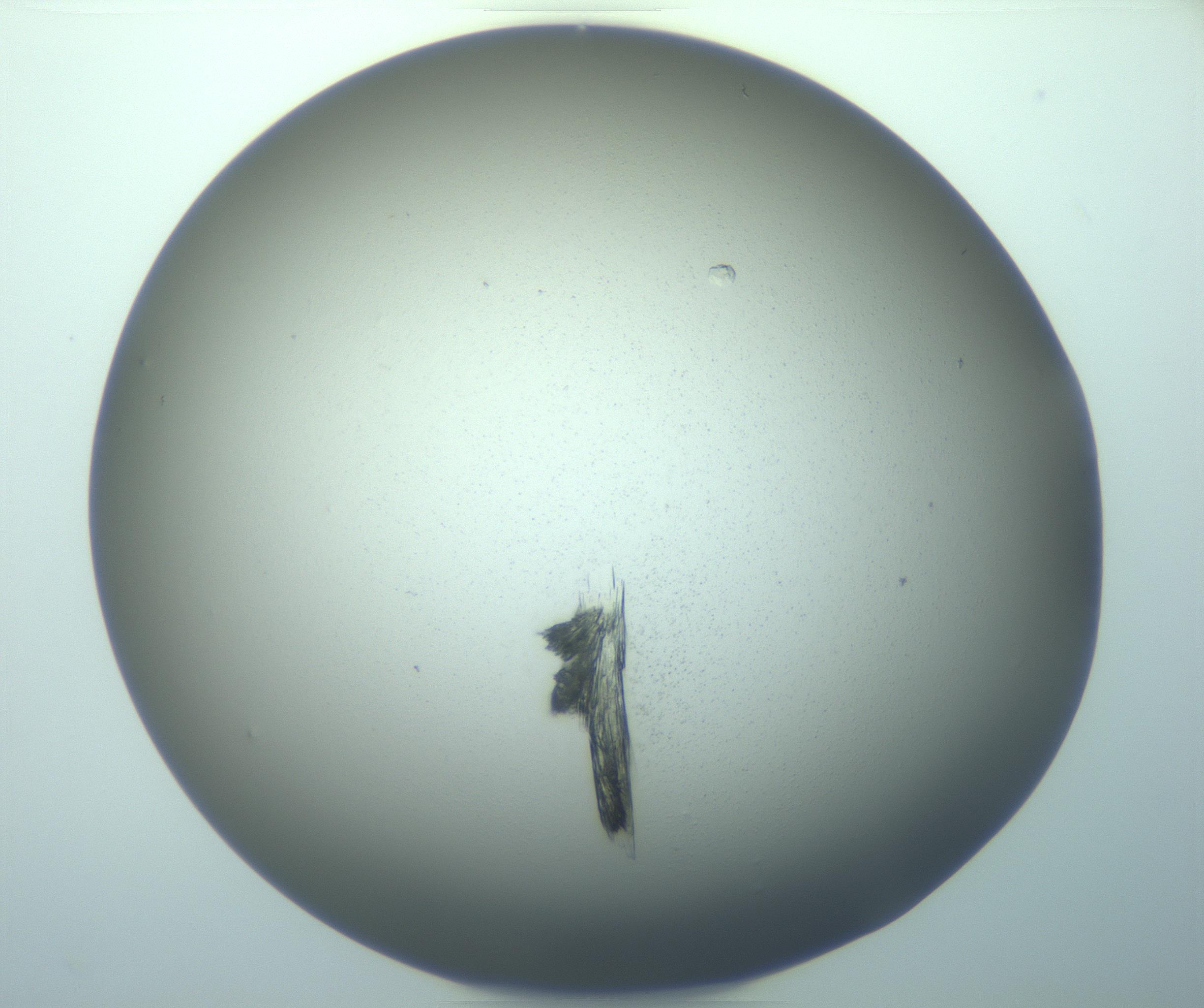 RI01_03_000_0212_Proj1_Clon1_MC_0000MC103244_006_170211_10_04_01_00_99_002_001_RAI.jpg