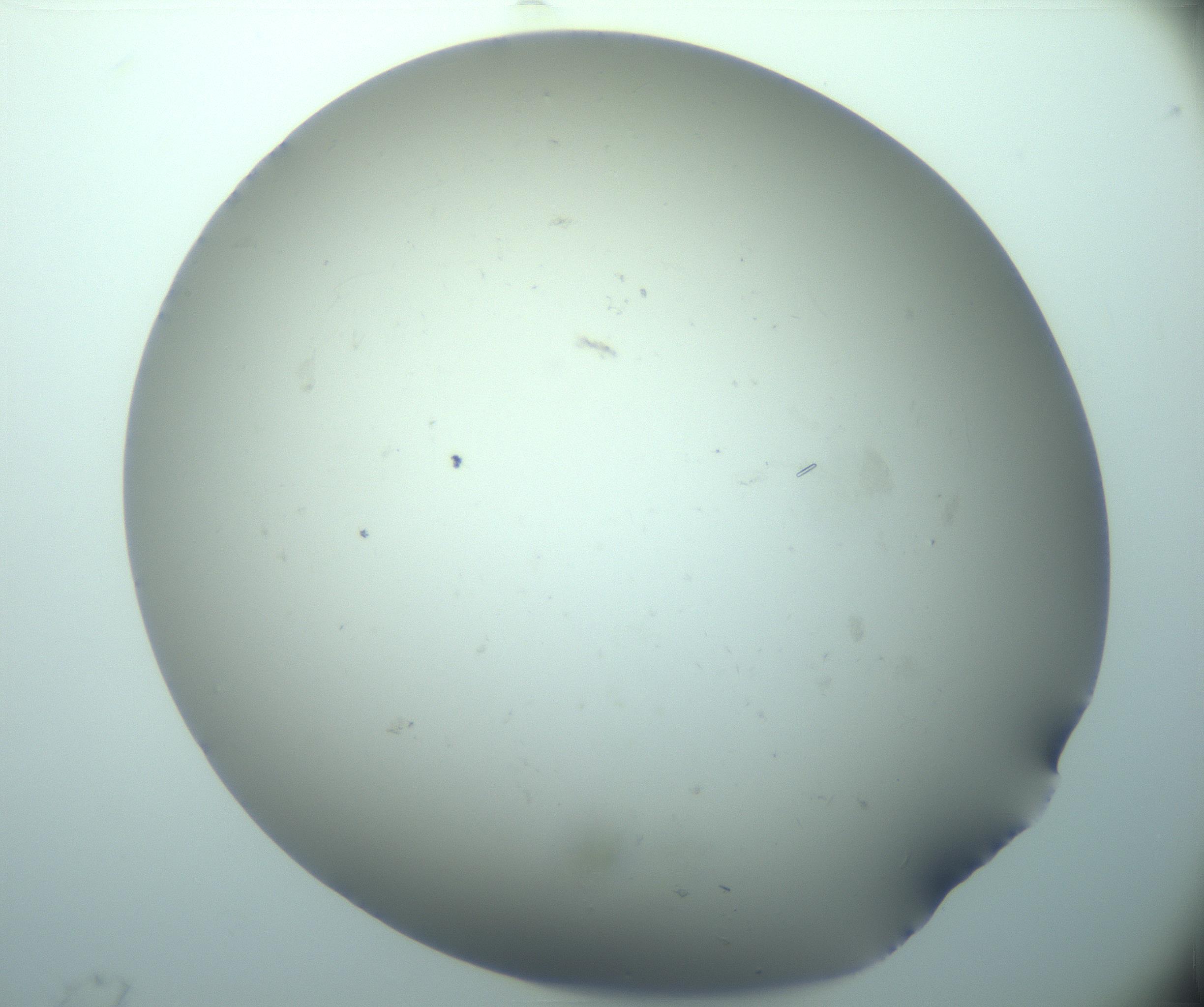RI01_03_000_0212_Proj1_Clon1_MC_0000MC103248_002_170208_04_02_01_00_99_002_001_RAI.jpg