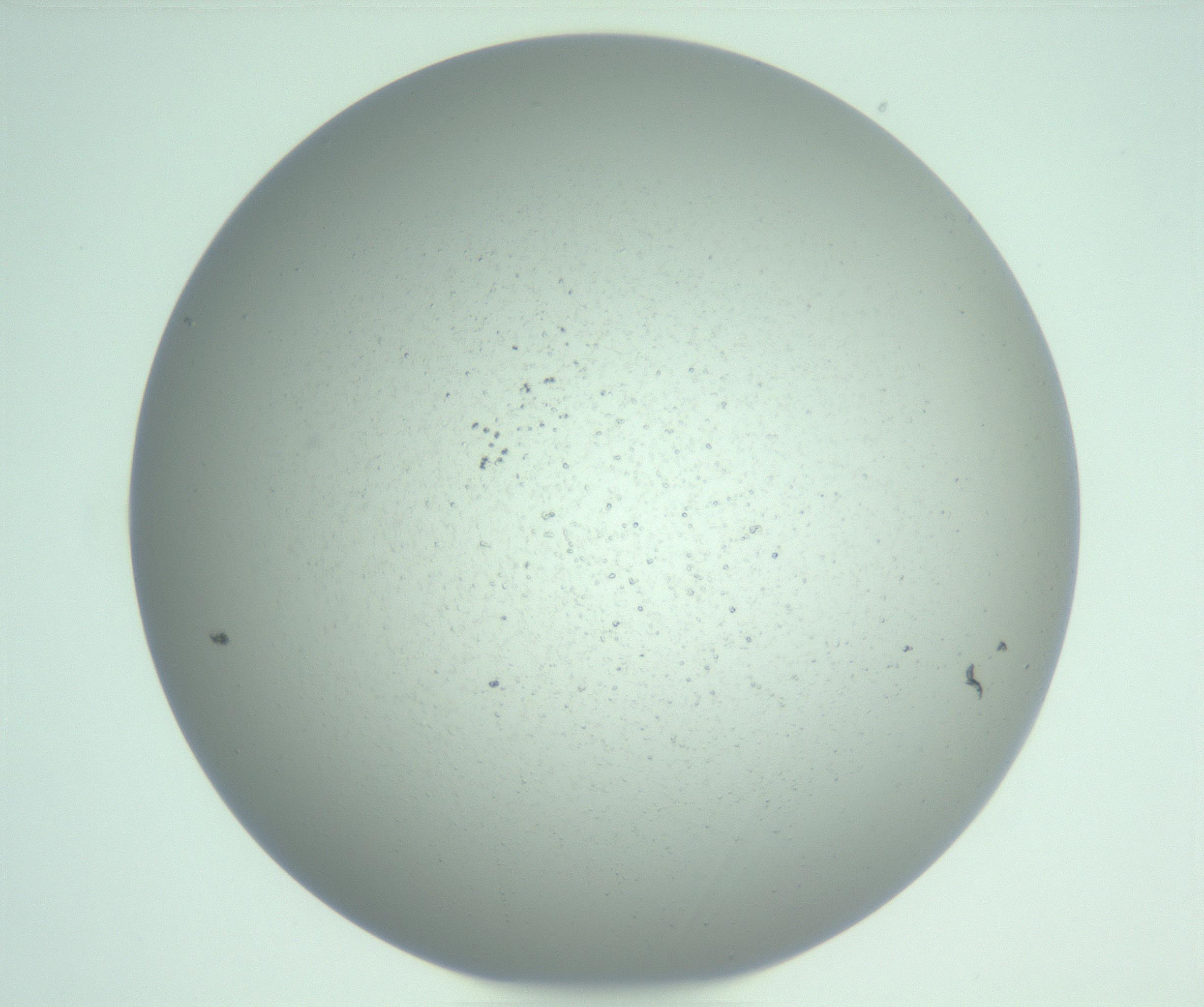 RI01_03_000_0212_Proj1_Clon1_MC_0000MC103252_007_170216_07_06_01_00_99_002_001_RAI.jpg