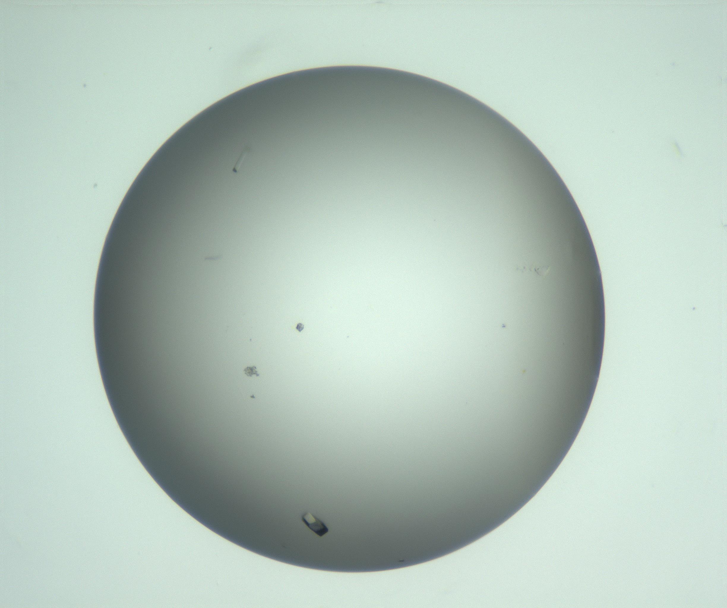 RI01_03_000_0212_Proj1_Clon1_MC_0000MC103255_006_170212_11_07_01_00_99_002_001_RAI.jpg