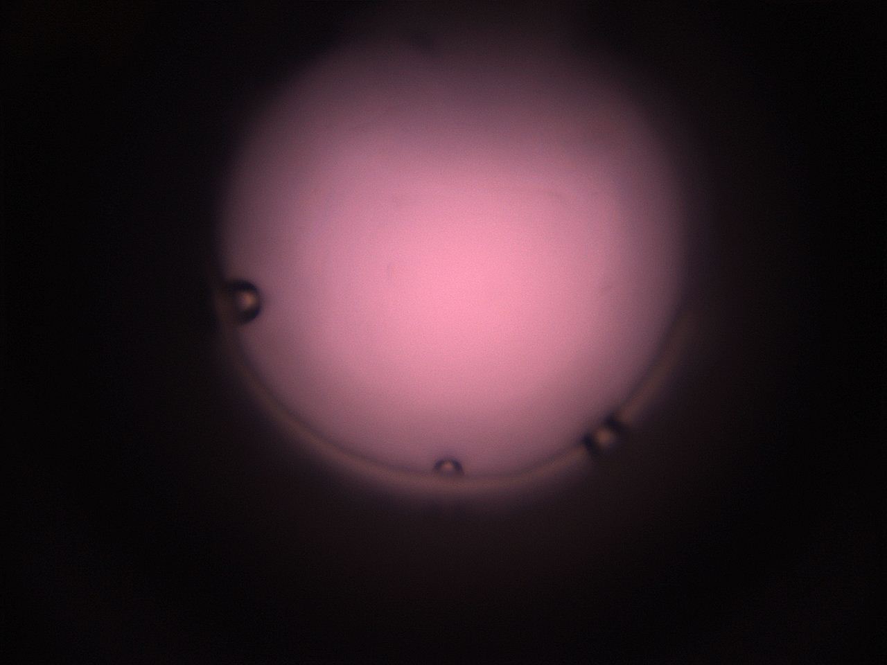 05i5_N2_ImagerDefaults_1.jpg