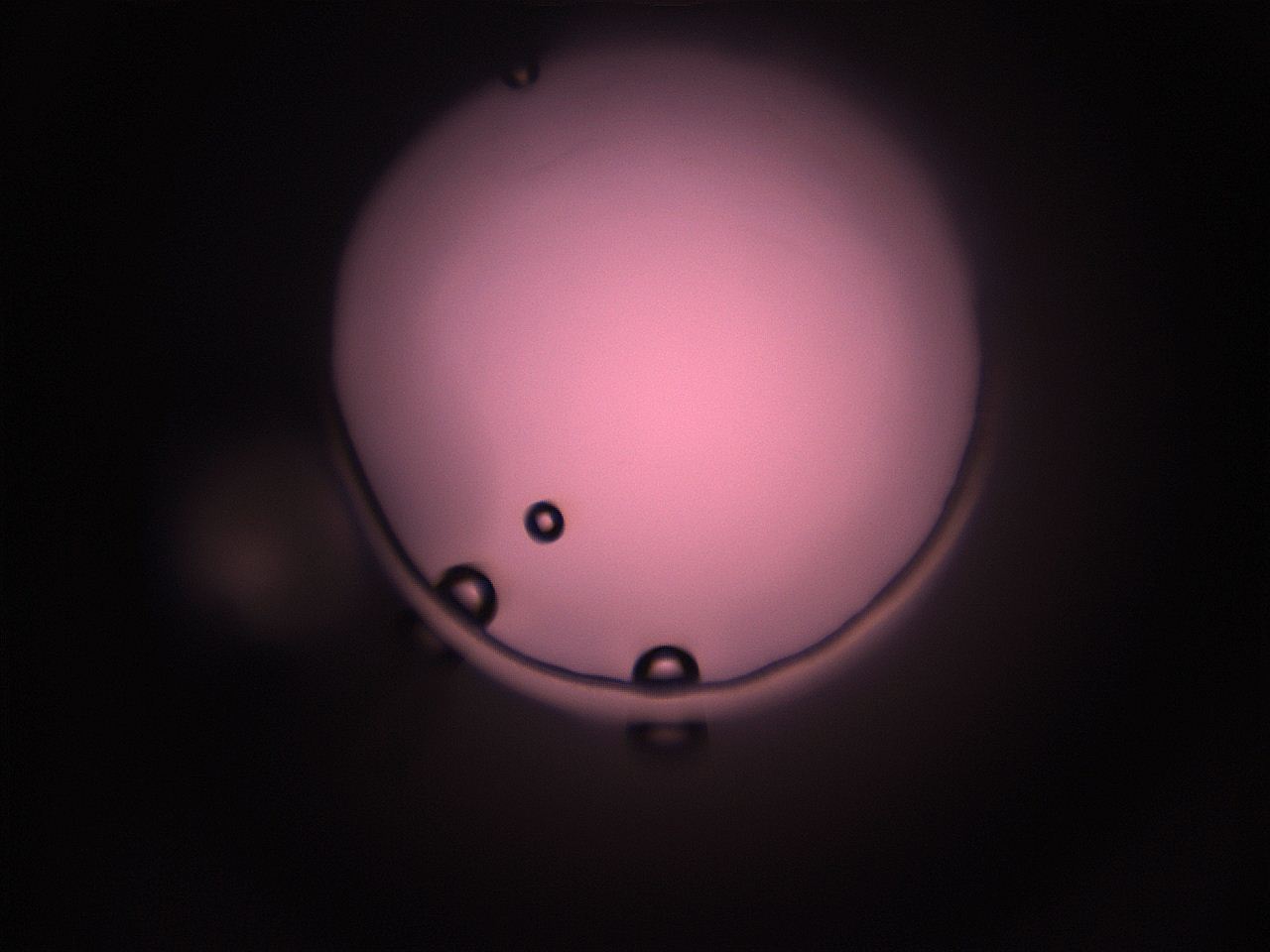 05i5_N5_ImagerDefaults_1.jpg