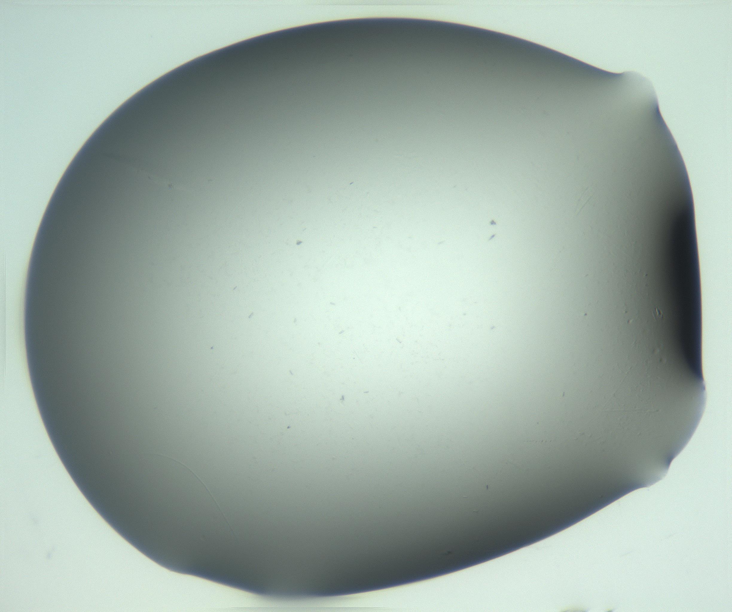 RI01_03_000_0212_Proj1_Clon1_MC_0000MC103268_002_170210_02_08_02_00_99_002_001_RAI.jpg