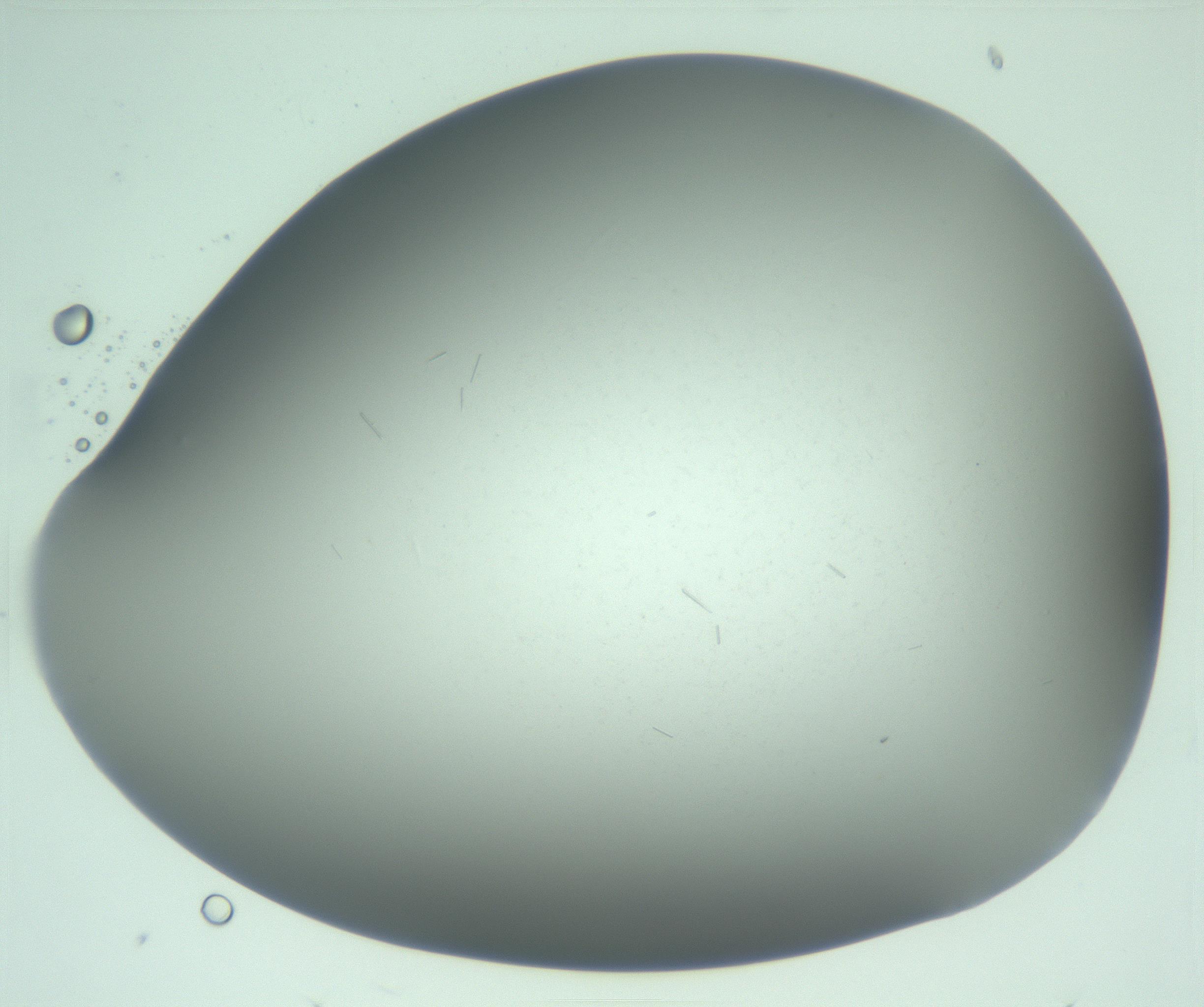 RI01_03_000_0212_Proj1_Clon1_MC_0000MC103268_002_170210_03_05_02_00_99_002_001_RAI.jpg